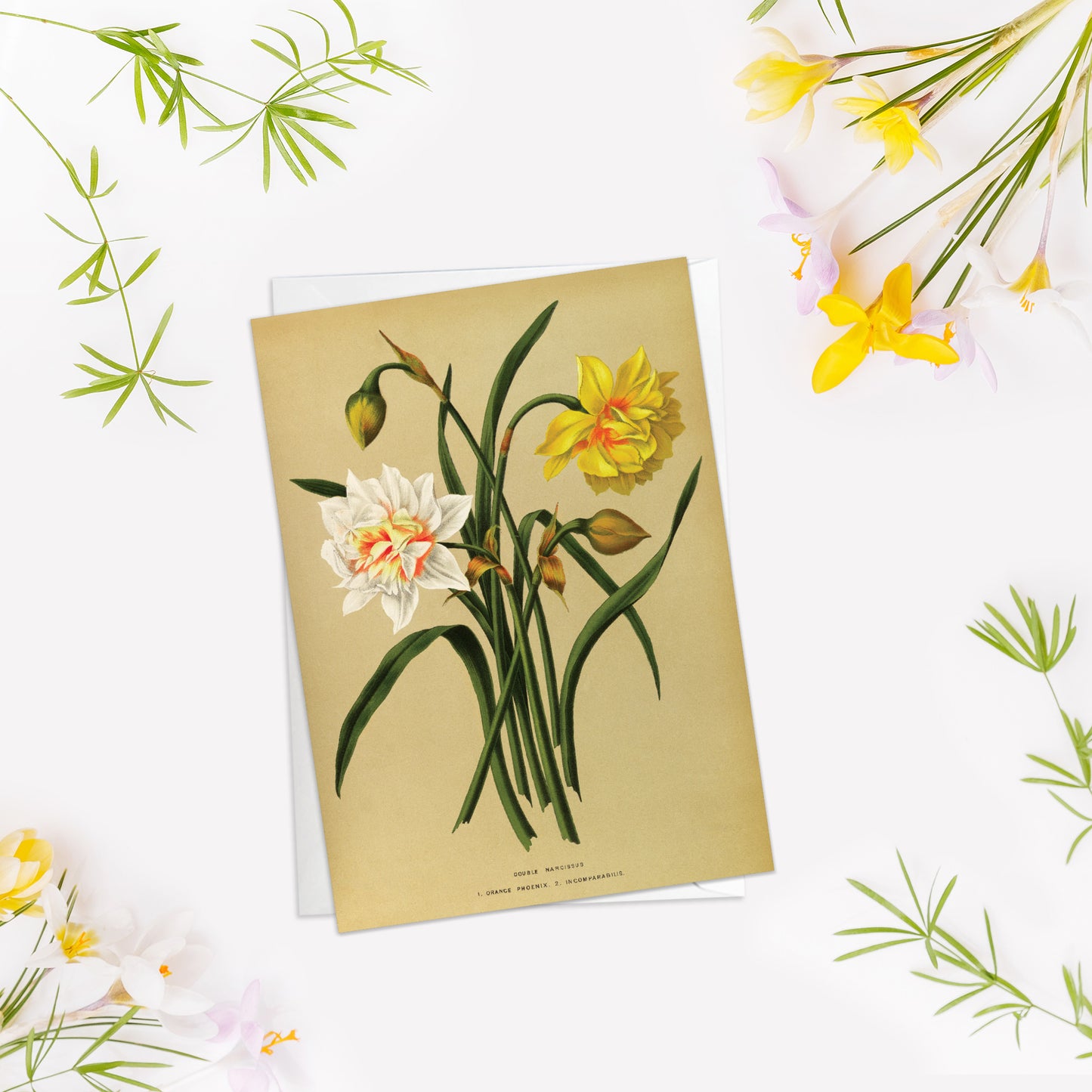 Set of 10 Antique Botanical Greeting Cards – Vintage Floral Art for Birthdays & All Occasions