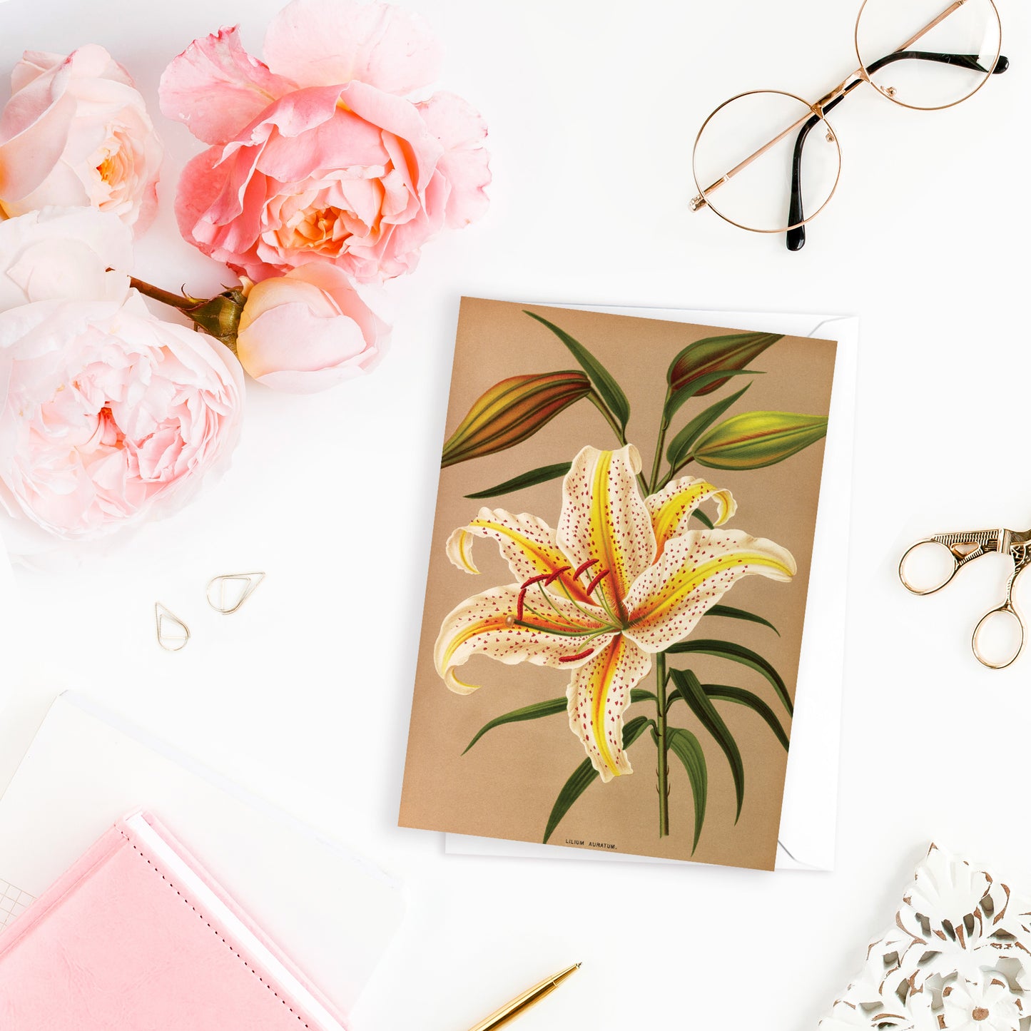 Set of 10 Antique Botanical Greeting Cards – Vintage Floral Art for Birthdays & All Occasions