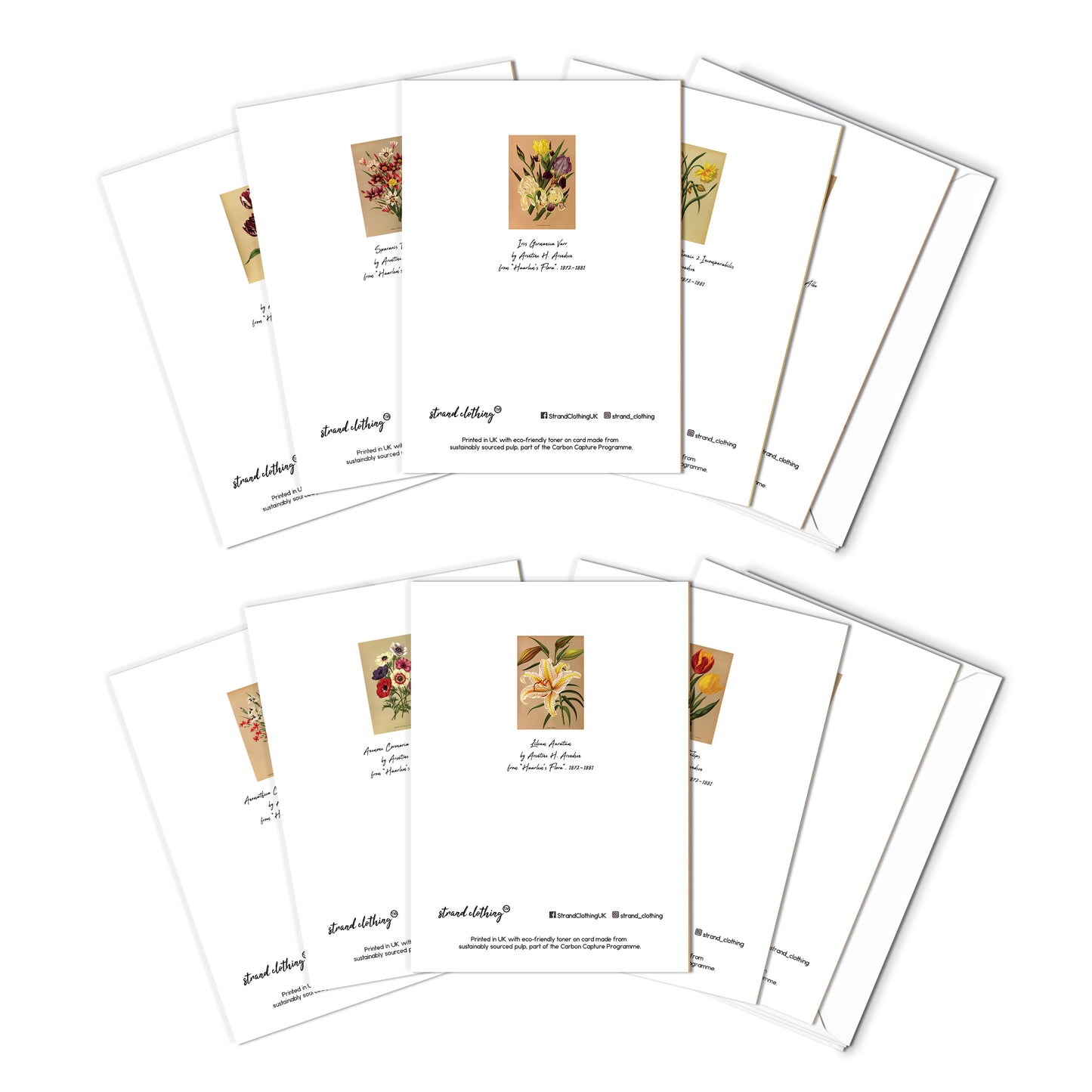 Set of 10 Antique Botanical Greeting Cards – Vintage Floral Art for Birthdays & All Occasions