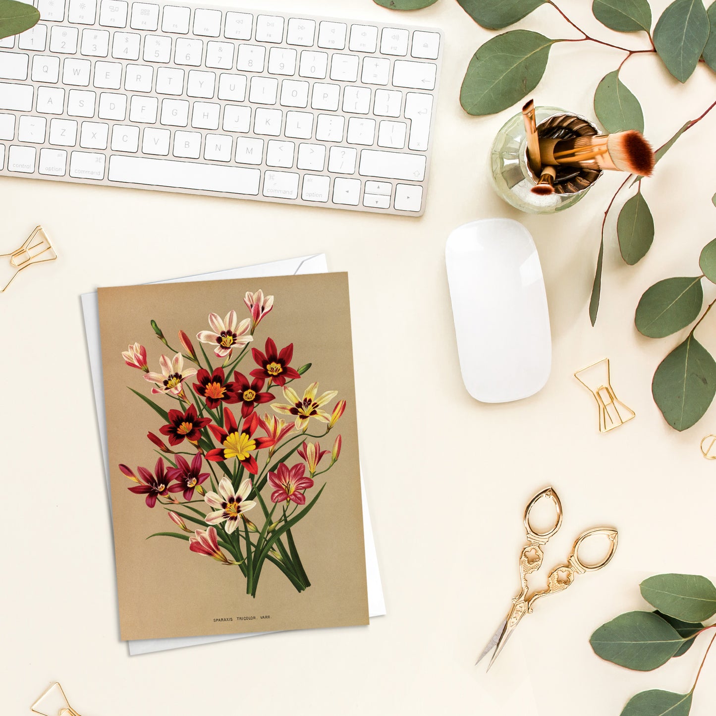 Set of 10 Antique Botanical Greeting Cards – Vintage Floral Art for Birthdays & All Occasions