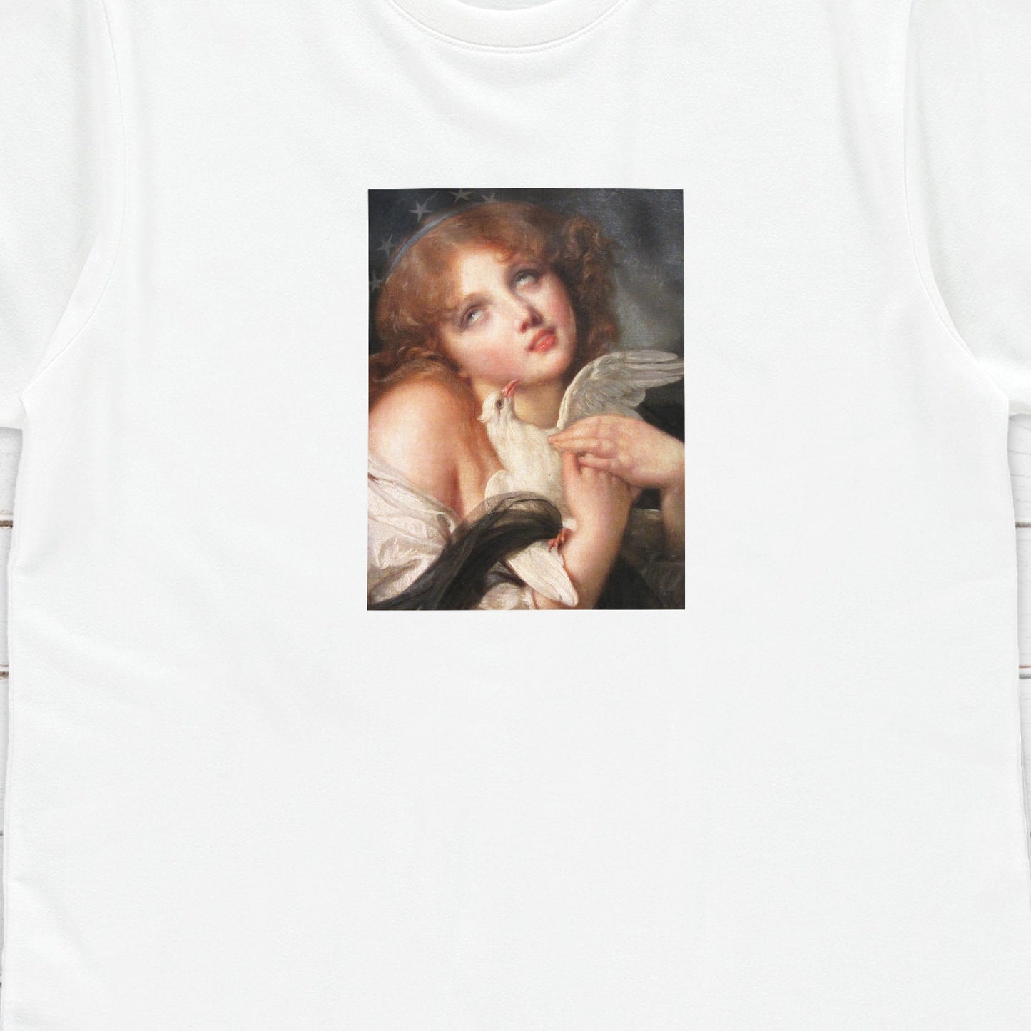 Rococo Art Cupid T Shirt Greuze Baroque Voluptuosidad Y2K 90s White Dove Quirky Aesthetic Pastel Goth Grunge Womens Mens Graphic Printed Tee