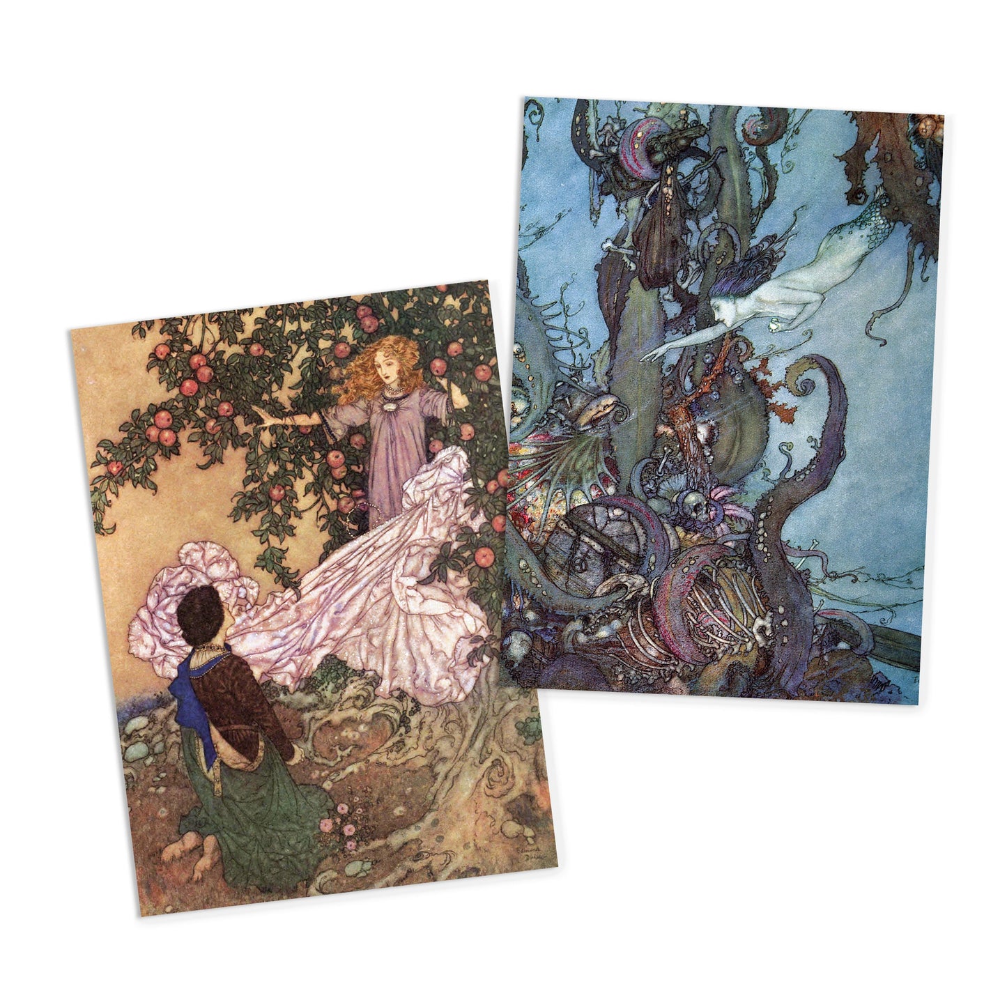 Fairy Tale Illustrations Art Postcards Set of 10 - Postcard Prints Pack Edmund Dulac Princess Pretty Beautiful Fairies Fairy Mermaid Cards