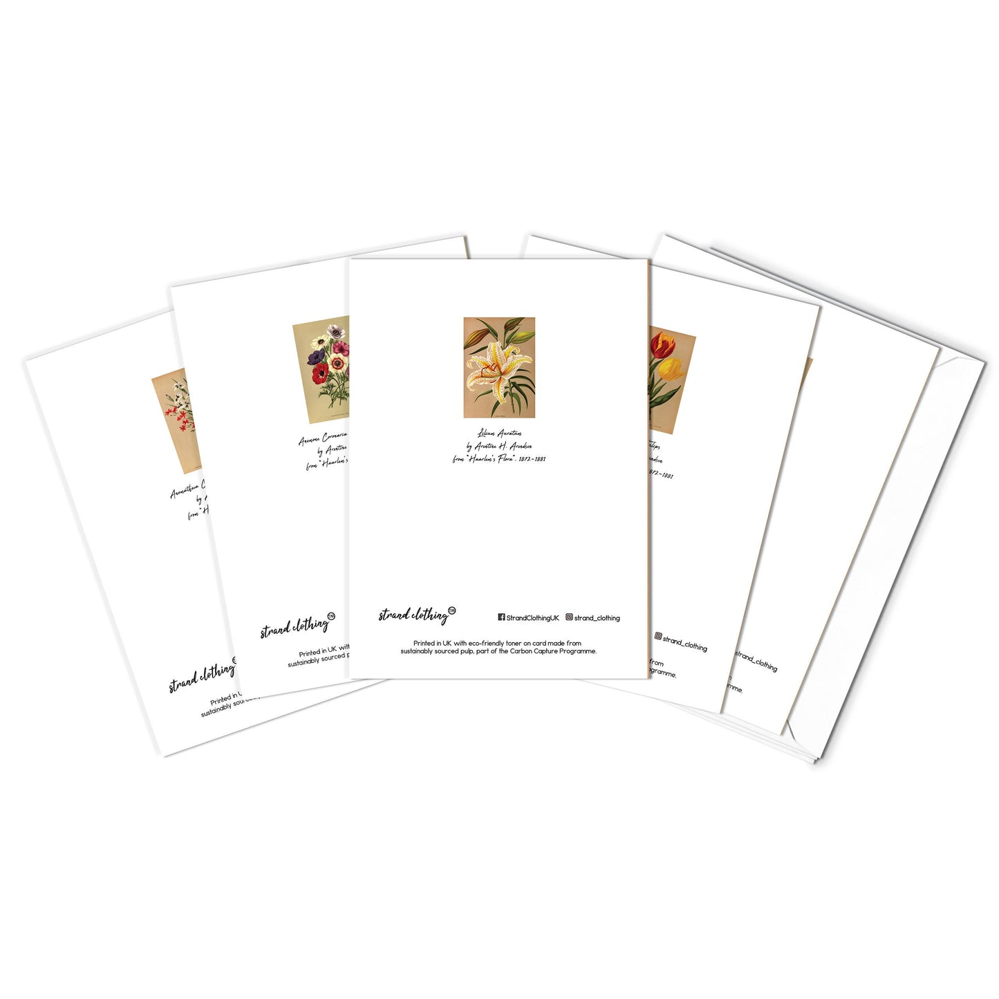 Antique Botanical Greeting Cards Birthday Card Set of Five Bundle Floral Art Valentines Flowers Tulip Lilies Vintage Victorian Beautiful 5
