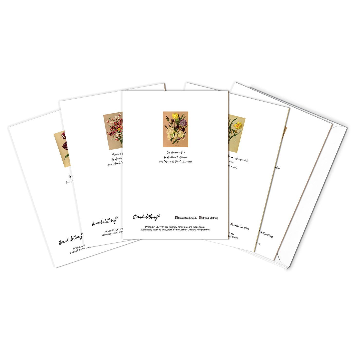Antique Botanical Greeting Cards Birthday Card Set of Five Bundle Floral Art Valentines Flowers Daffodils Vintage Victorian Beautiful Gift 5