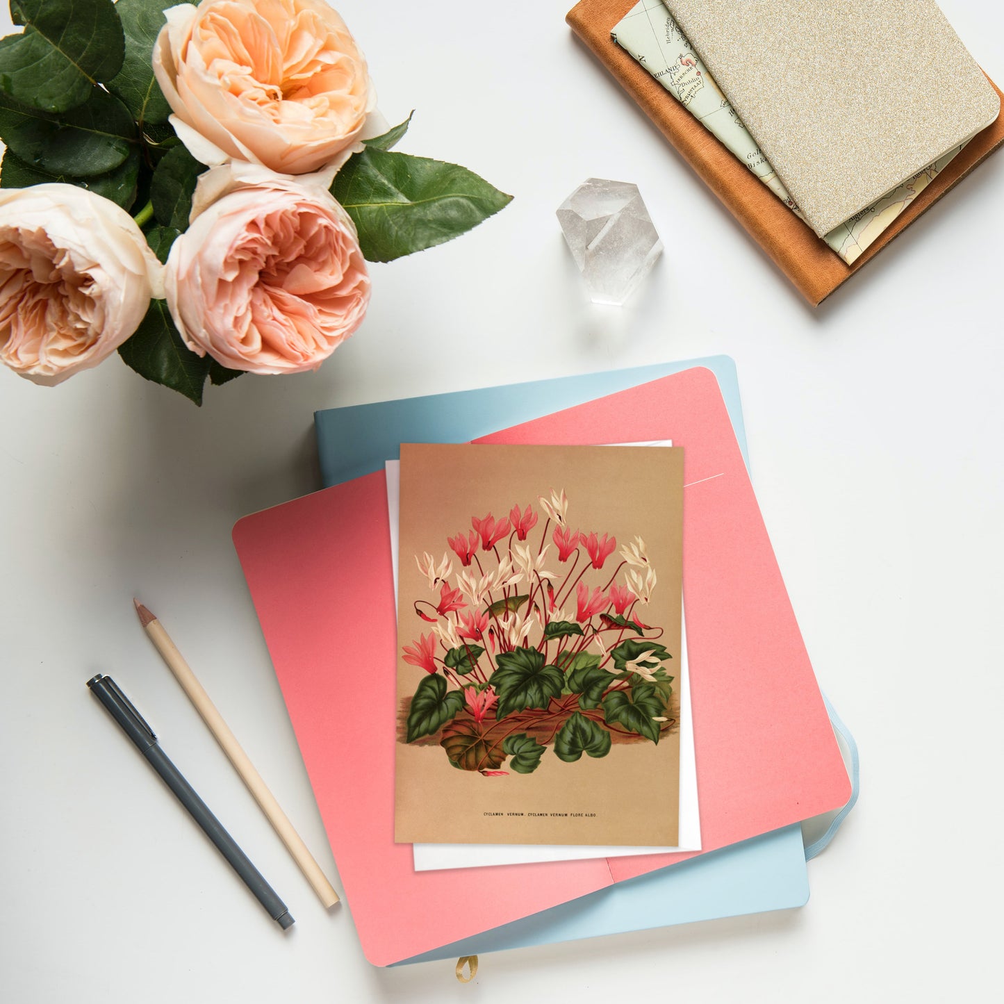 Antique Botanical Greeting Cards Birthday Card Set of Five Bundle Floral Art Valentines Flowers Daffodils Vintage Victorian Beautiful Gift 5