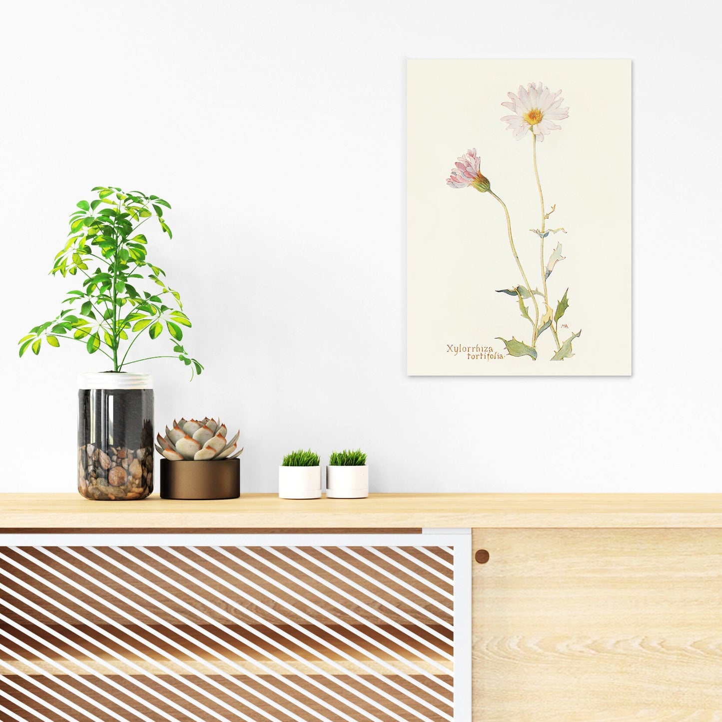 Antique Botanical Art Print Poster Vintage Wall Art Flowers Floral Nature Drawing Leaf Daisy Illustration Victorian Edwardian Beautiful A3