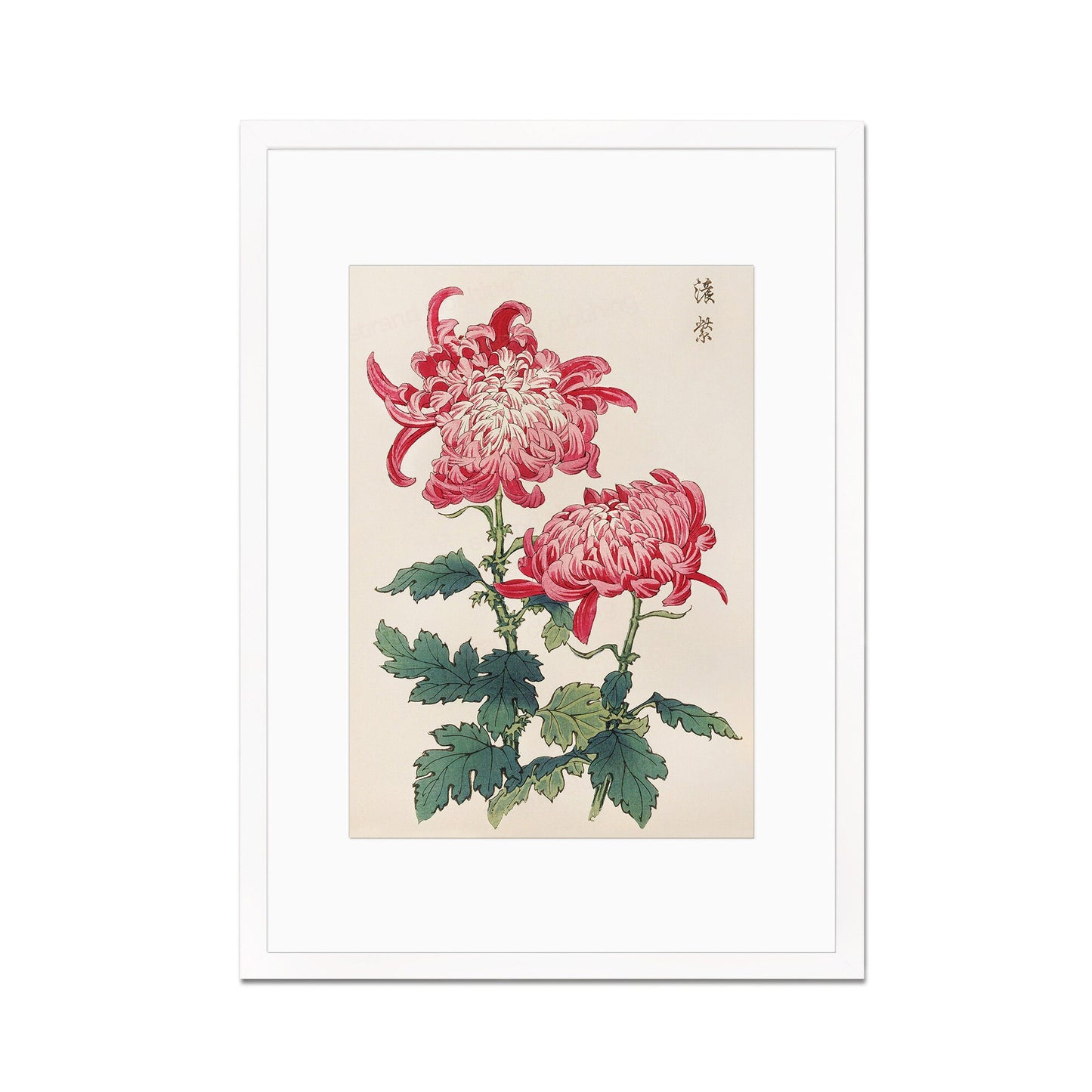 Framed Mounted Japanese Ukiyo-e Wall Art Print Poster Woodblock Keika Hasegawa Chrysanthemums Flowers Landscape Tattoo Beautiful Calligraphy