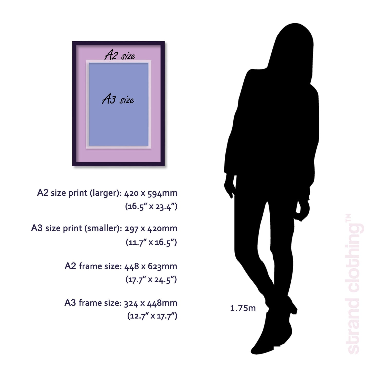 Cyclamen Framed Mounted Wall Art Decor Print Poster Botanical Antique Vintage Old Victorian Illustration Nature Plant Beautiful Flower Herbs