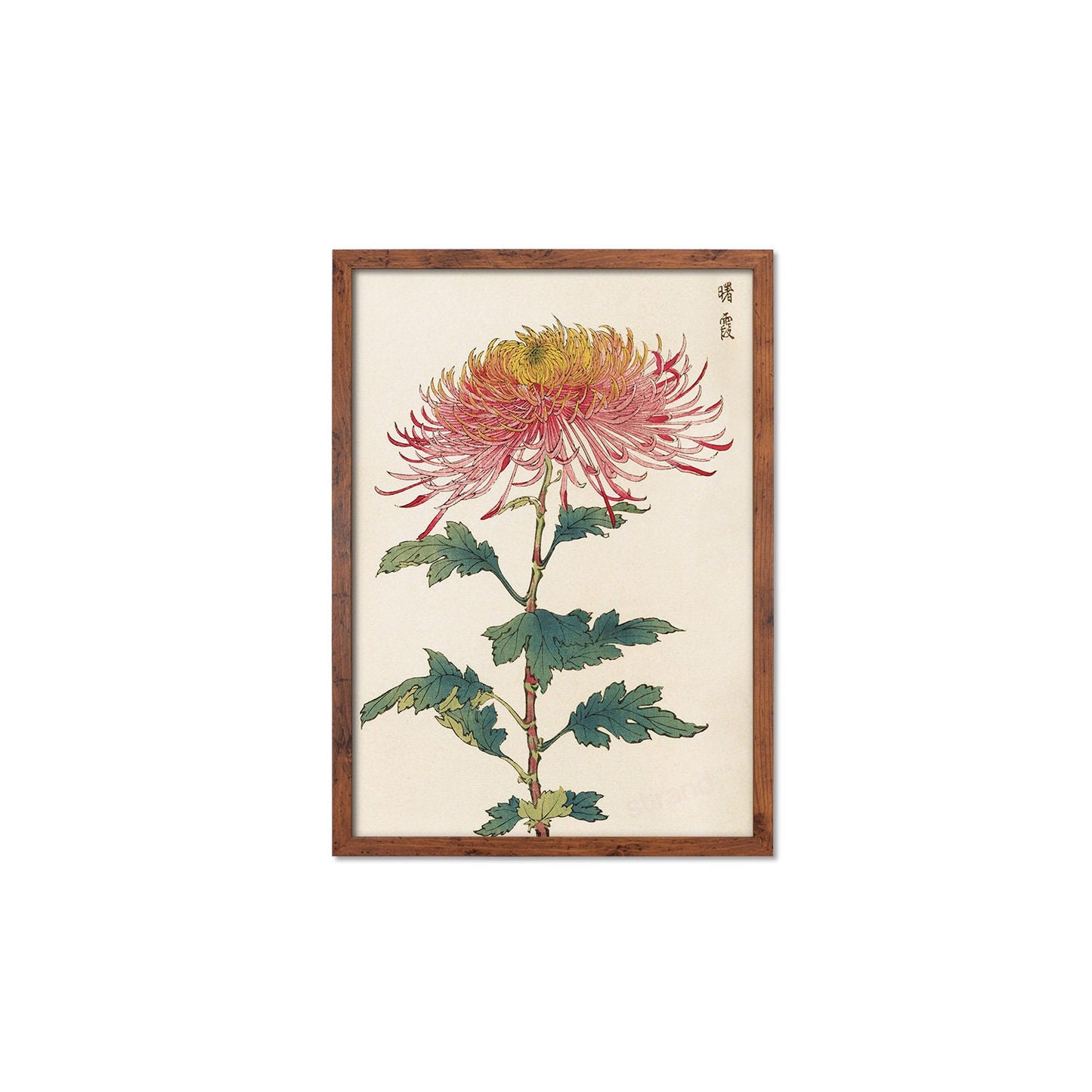 Framed Mounted Japanese Ukiyo-e Wall Art Print Poster Woodblock Keika Hasegawa Chrysanthemums Flowers Landscape Nature Beautiful Calligraphy