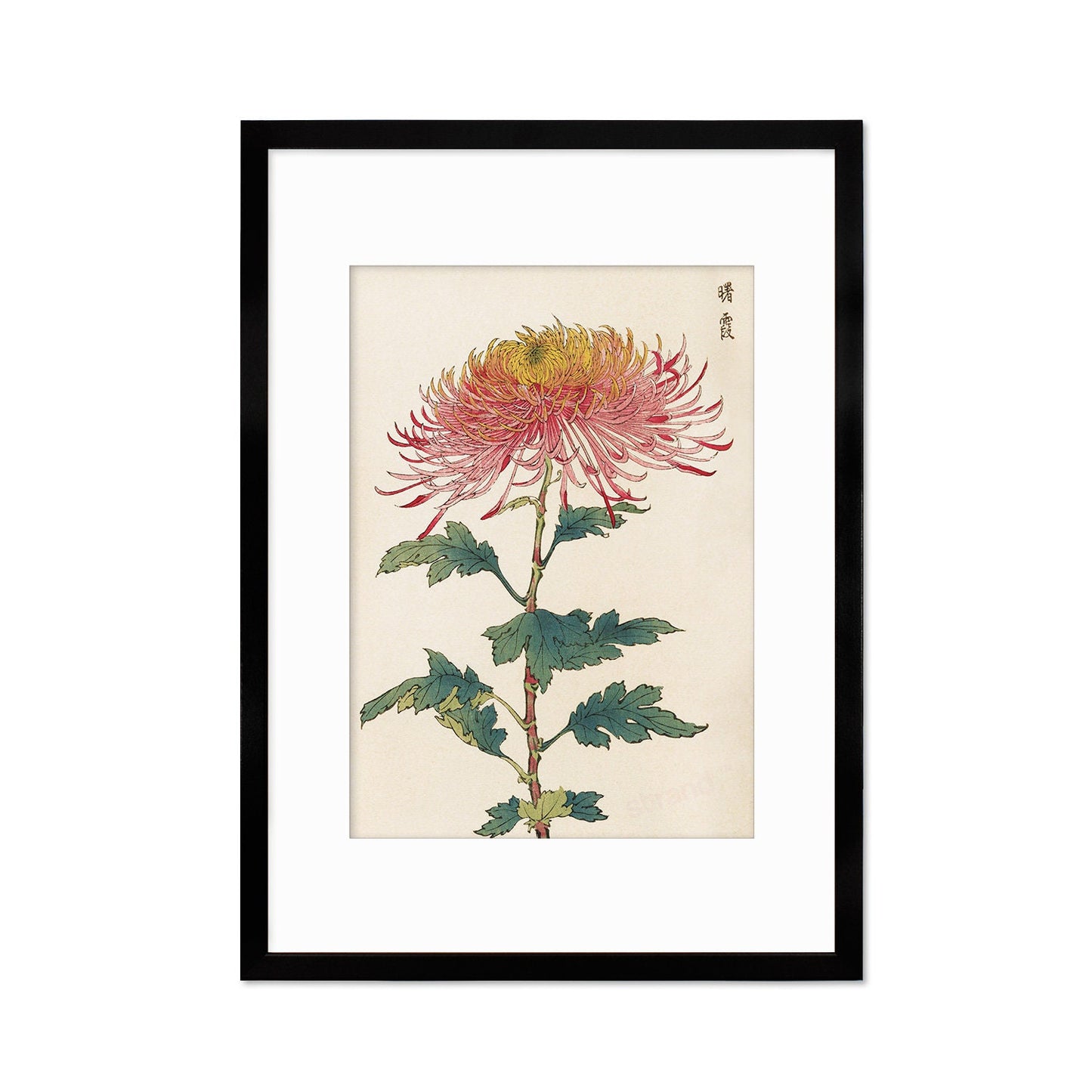 Framed Mounted Japanese Ukiyo-e Wall Art Print Poster Woodblock Keika Hasegawa Chrysanthemums Flowers Landscape Nature Beautiful Calligraphy