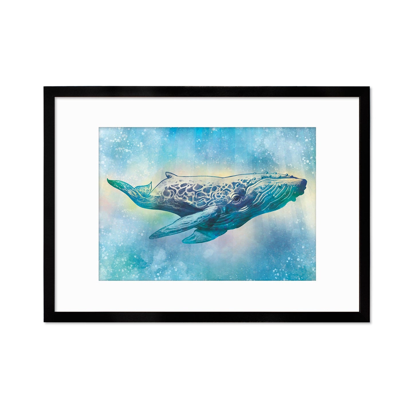 Humpback Whale Art Print Poster Wall Decor Framed Mounted Watercolour Pencil Drawing Frame Sea Orca Dolphin Ocean Nature Planet Earth A3 A2