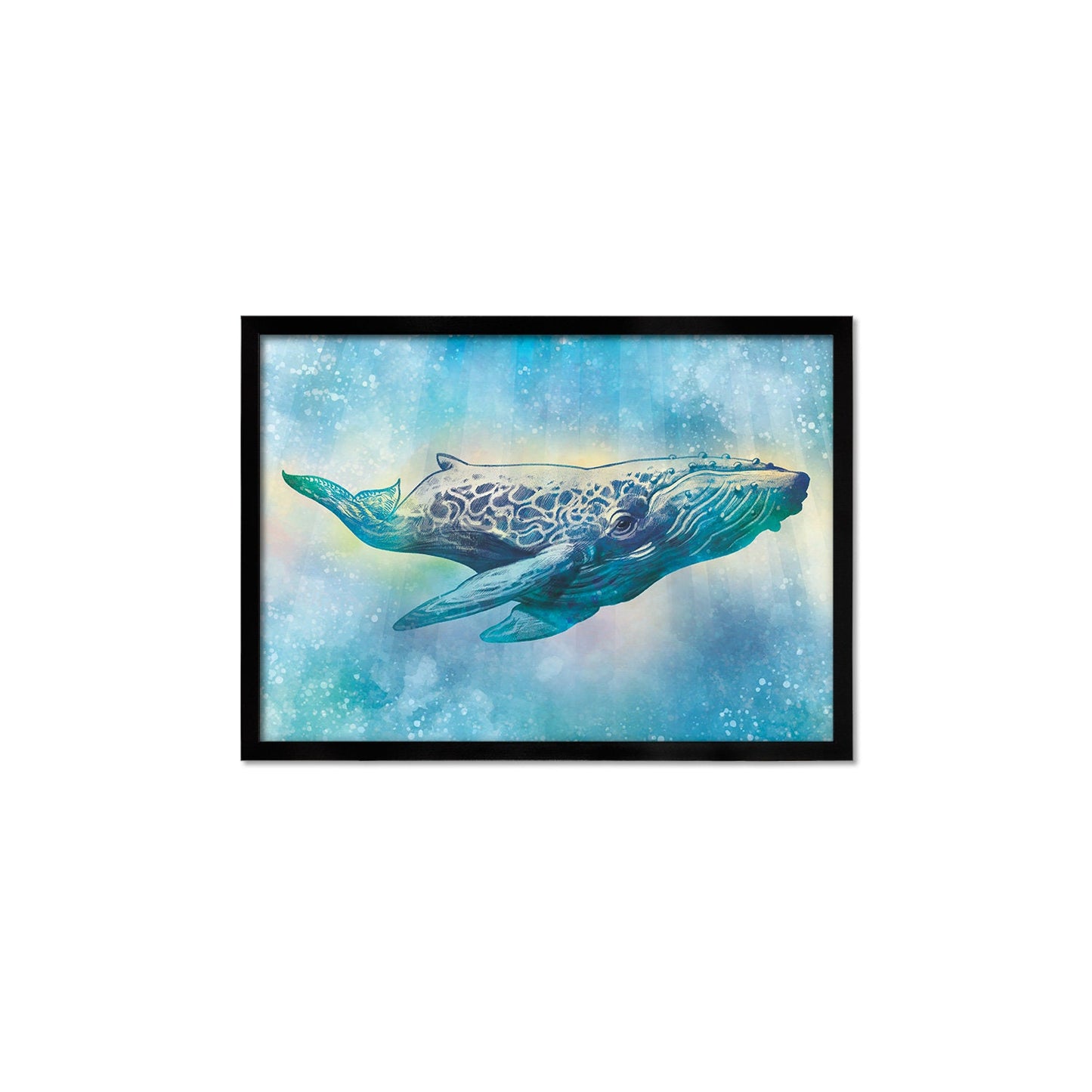 Humpback Whale Art Print Poster Wall Decor Framed Mounted Watercolour Pencil Drawing Frame Sea Orca Dolphin Ocean Nature Planet Earth A3 A2