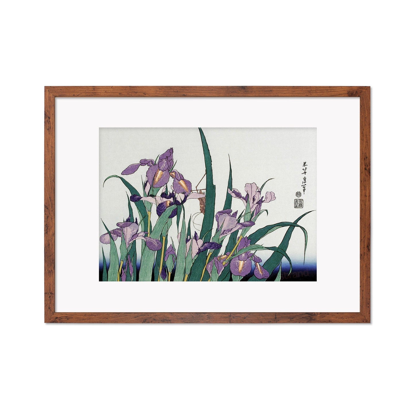 Japanese Art Hokusai Framed Mounted Ukiyo-e Wall Decor Print Poster Woodblock Irises Flowers Landscape Insects Calligraphy Beautiful A2 A3