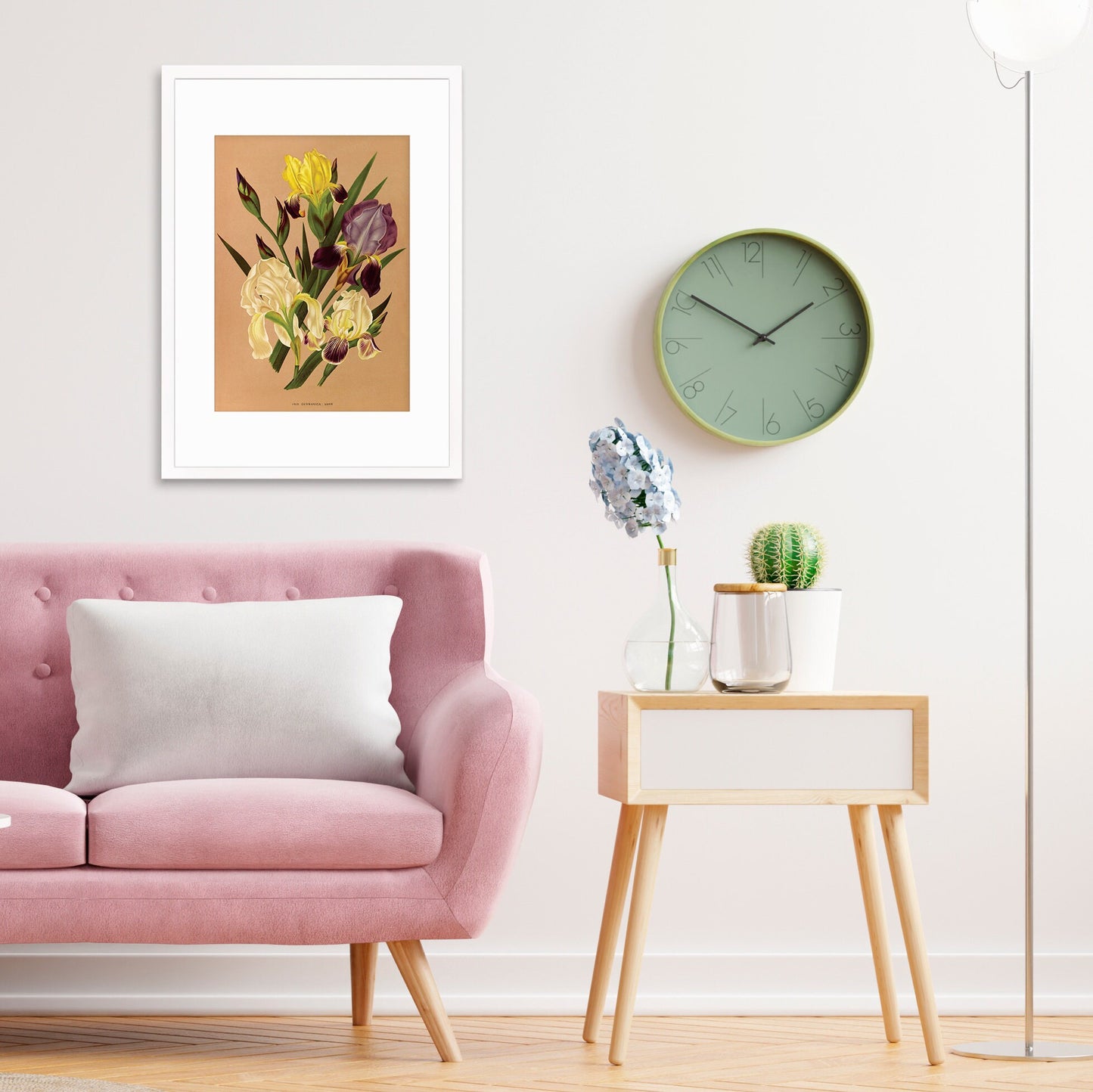 Irises Framed Mounted Wall Art Decor Print Poster Botanical Antique Vintage Retro Victorian Illustration Nature Plants Beautiful Flower Herb