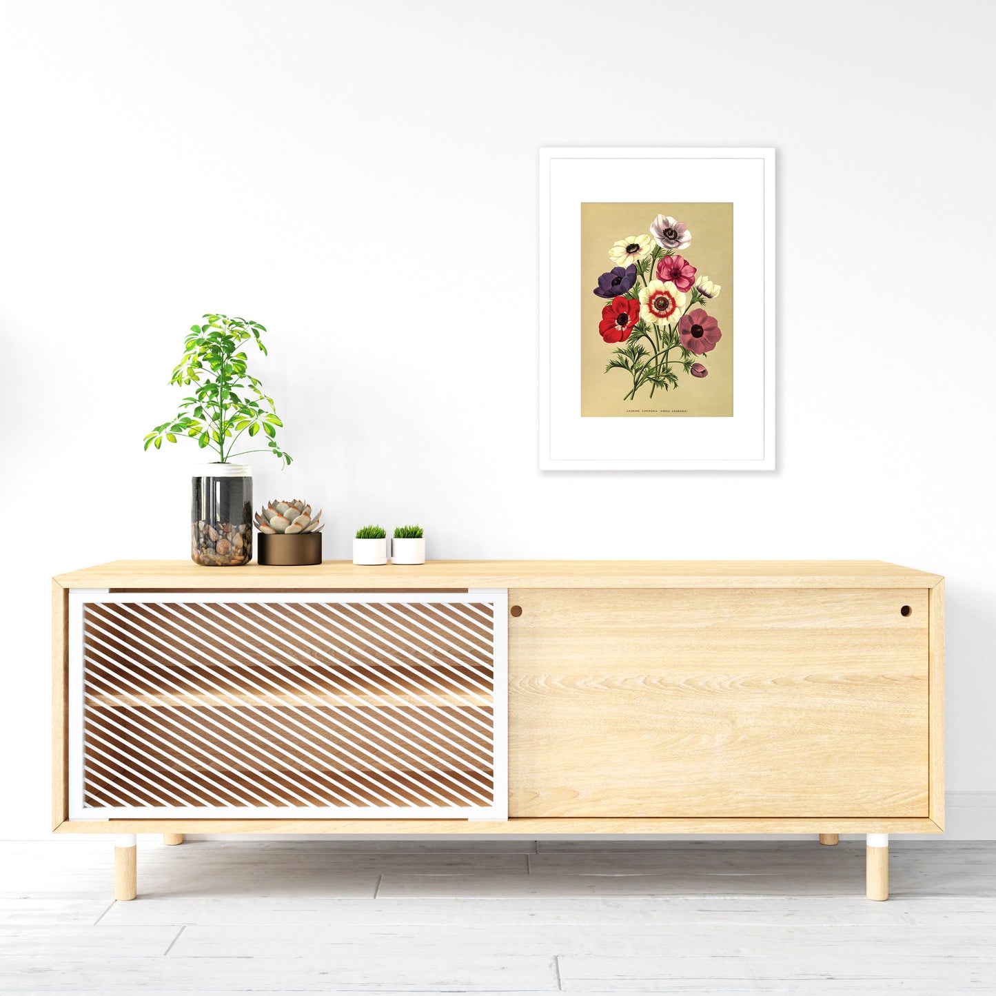 Anemone Framed Mounted Wall Art Decor Print Poster Botanical Antique Vintage Retro Victorian Illustration Nature Garden Beautiful Flowers