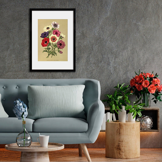 Anemone Framed Mounted Wall Art Decor Print Poster Botanical Antique Vintage Retro Victorian Illustration Nature Garden Beautiful Flowers