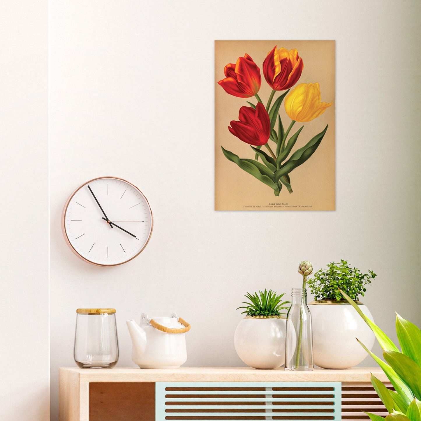 Antique Botanical Art Print Poster Vintage Wall Art Flowers Floral Tulips Red Nature Leaf Plant Illustration Victorian Herbs Beautiful A3