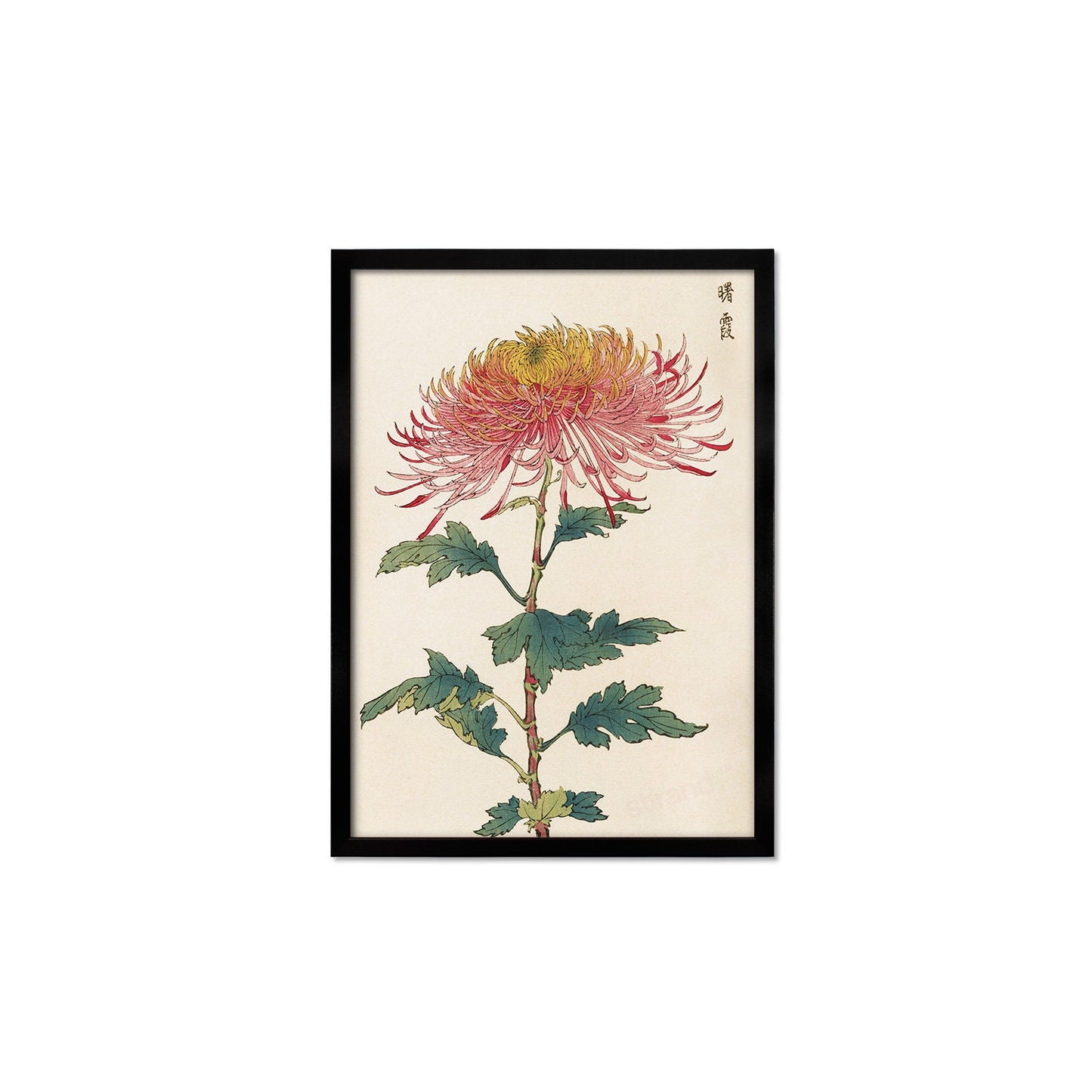 Framed Mounted Japanese Ukiyo-e Wall Art Print Poster Woodblock Keika Hasegawa Chrysanthemums Flowers Landscape Nature Beautiful Calligraphy