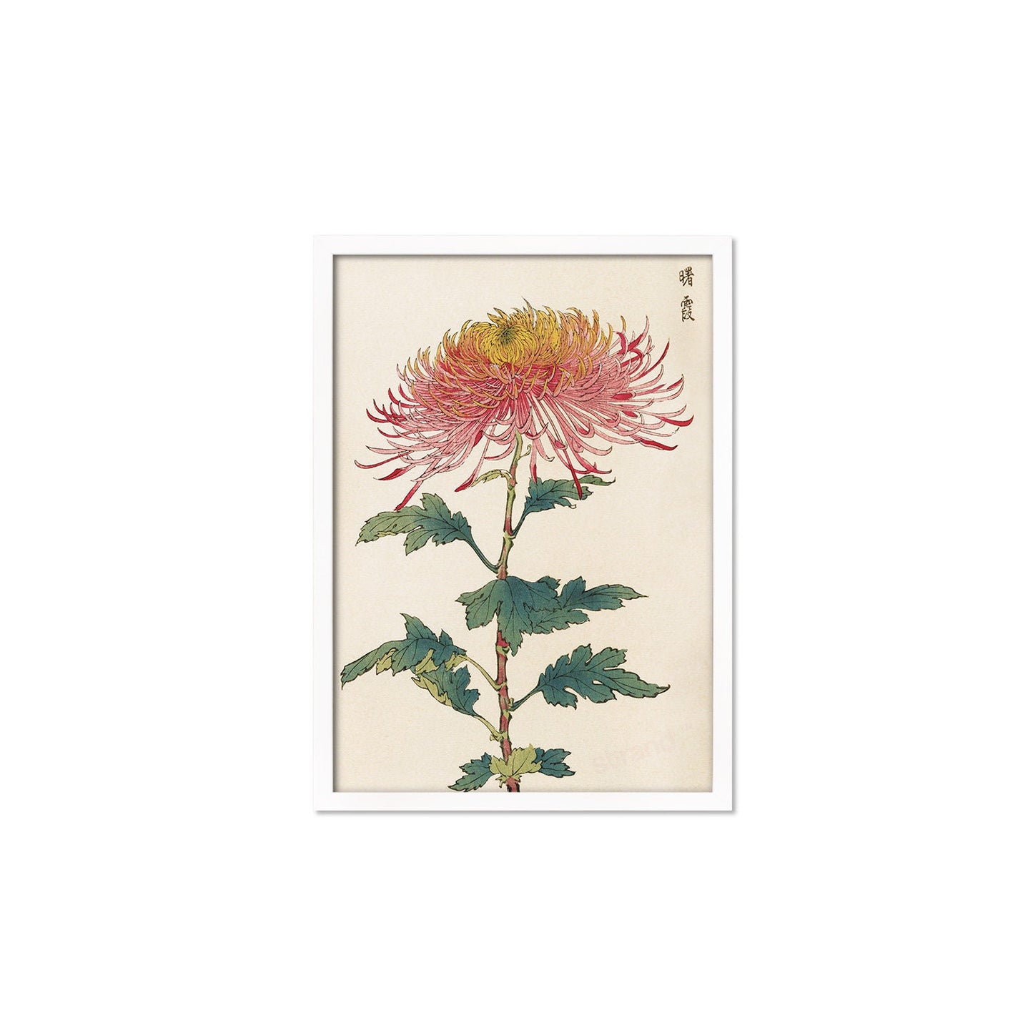 Framed Mounted Japanese Ukiyo-e Wall Art Print Poster Woodblock Keika Hasegawa Chrysanthemums Flowers Landscape Nature Beautiful Calligraphy