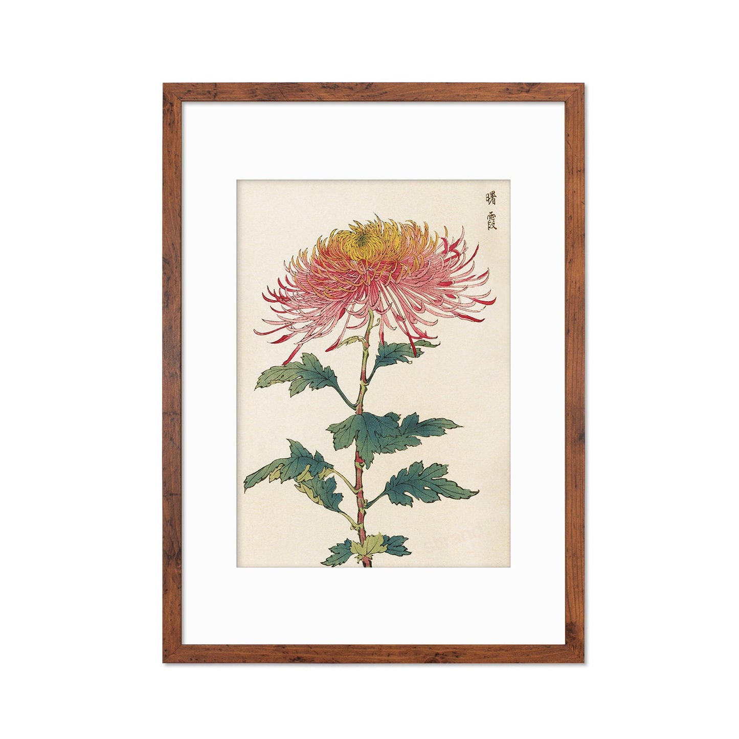 Framed Mounted Japanese Ukiyo-e Wall Art Print Poster Woodblock Keika Hasegawa Chrysanthemums Flowers Landscape Nature Beautiful Calligraphy