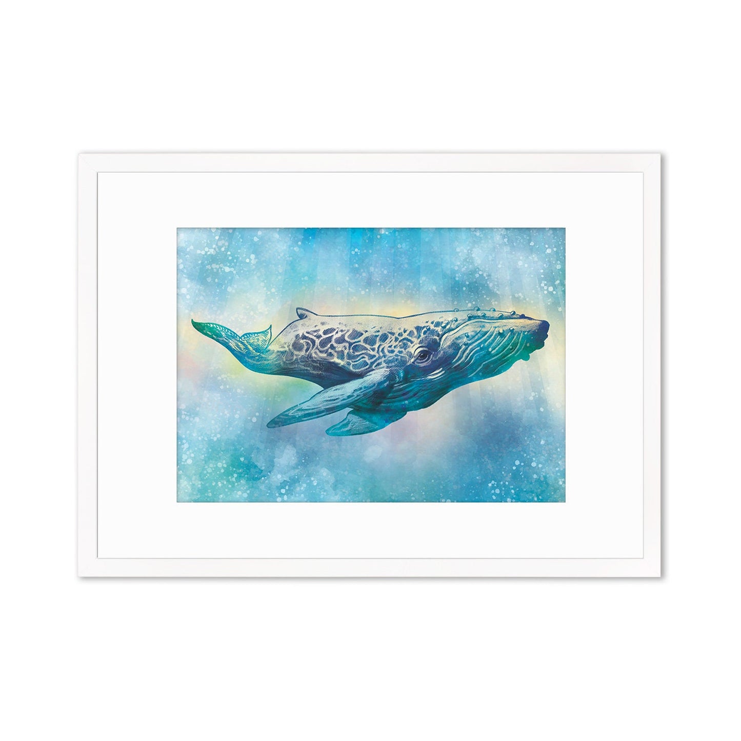 Humpback Whale Art Print Poster Wall Decor Framed Mounted Watercolour Pencil Drawing Frame Sea Orca Dolphin Ocean Nature Planet Earth A3 A2