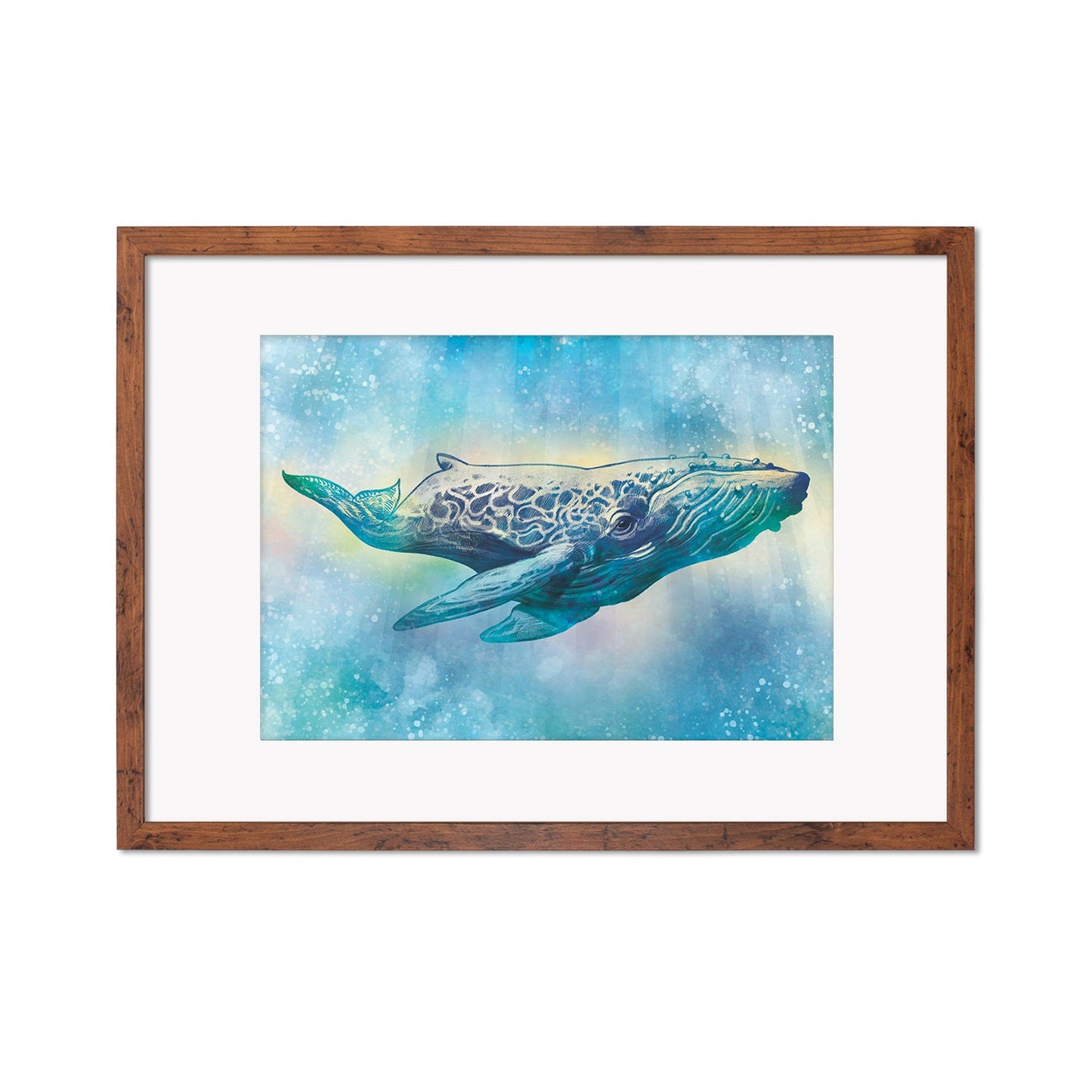 Humpback Whale Art Print Poster Wall Decor Framed Mounted Watercolour Pencil Drawing Frame Sea Orca Dolphin Ocean Nature Planet Earth A3 A2