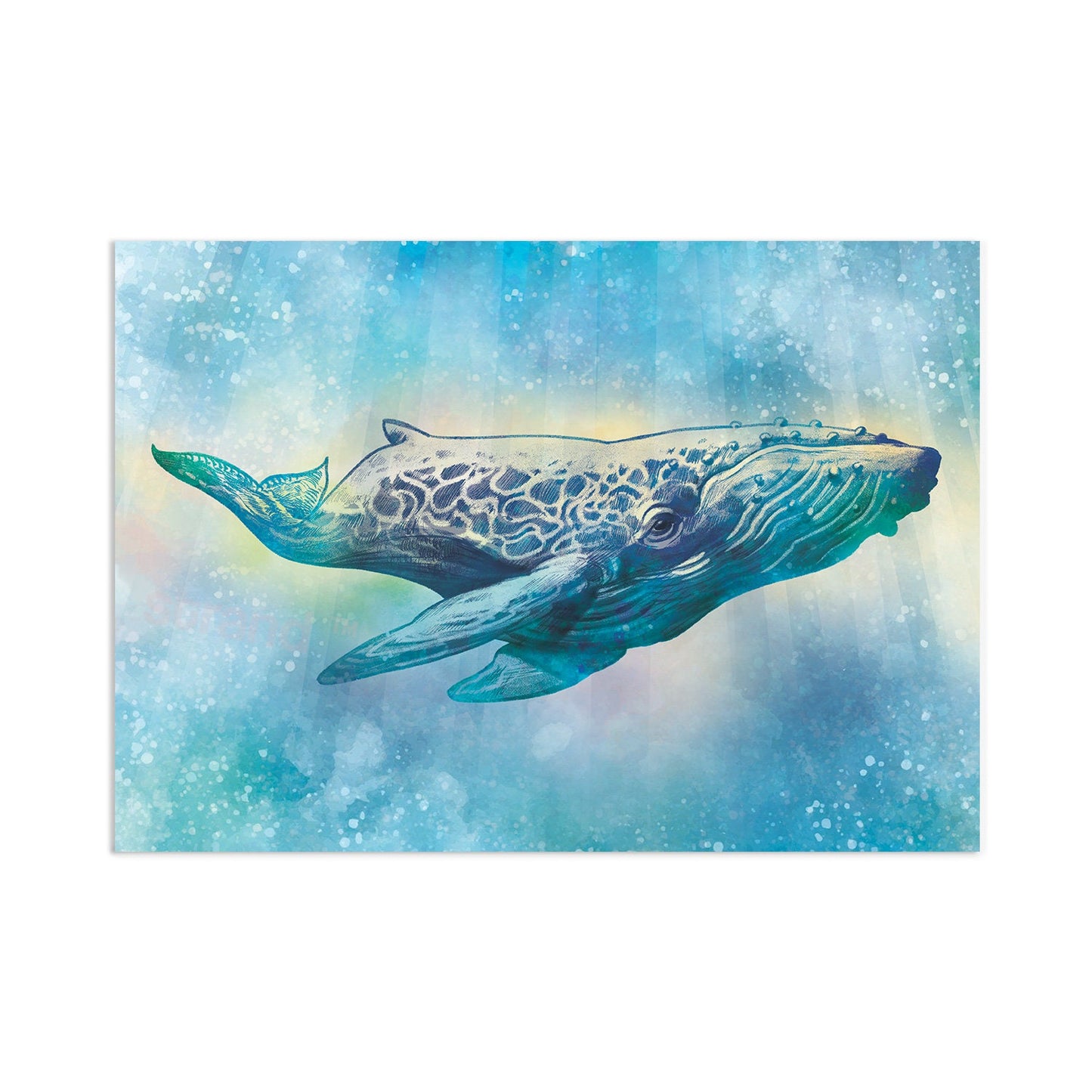 Humpback Whale Art Print Poster Wall Decor Beautiful Watercolour Pencil Drawing Artwork Sea Orca Dolphin Ocean Nature Planet Earth Tattoo A3