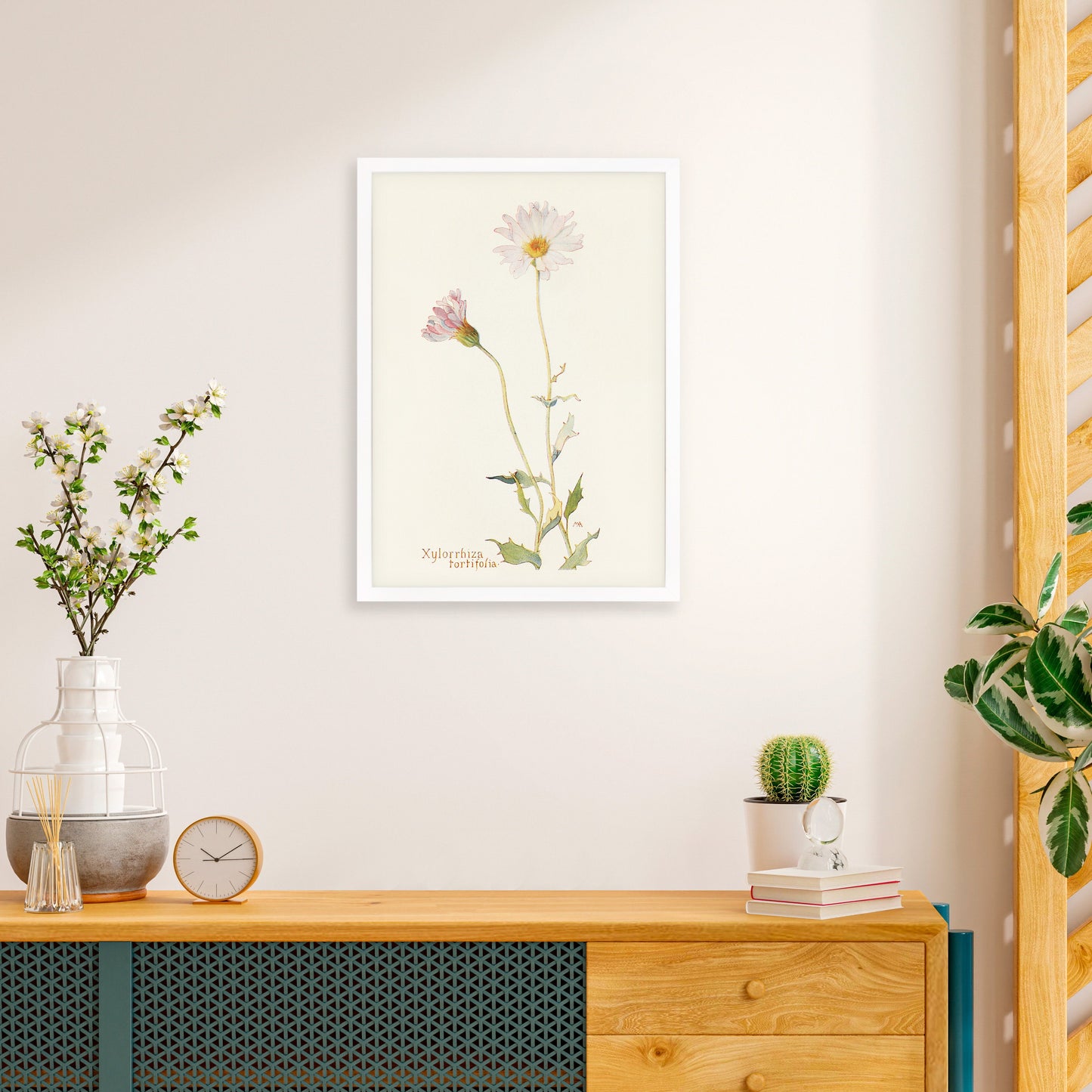 Framed Mounted Antique Botanical Art Print Poster Wall Flowers Floral Drawing Leaf Daisy Nature Leaf Plant Illustration Edwardian Elegant A2