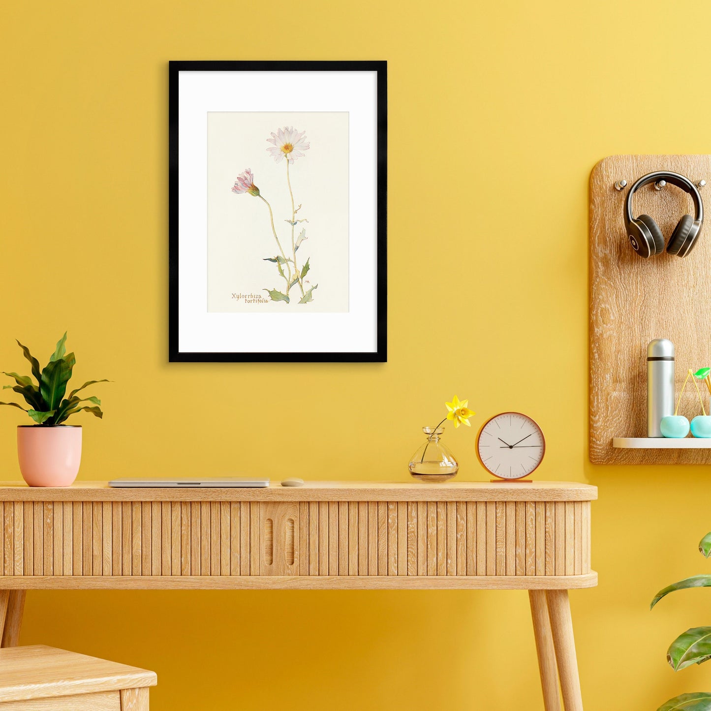 Framed Mounted Antique Botanical Art Print Poster Wall Flowers Floral Drawing Leaf Daisy Nature Leaf Plant Illustration Edwardian Elegant A2