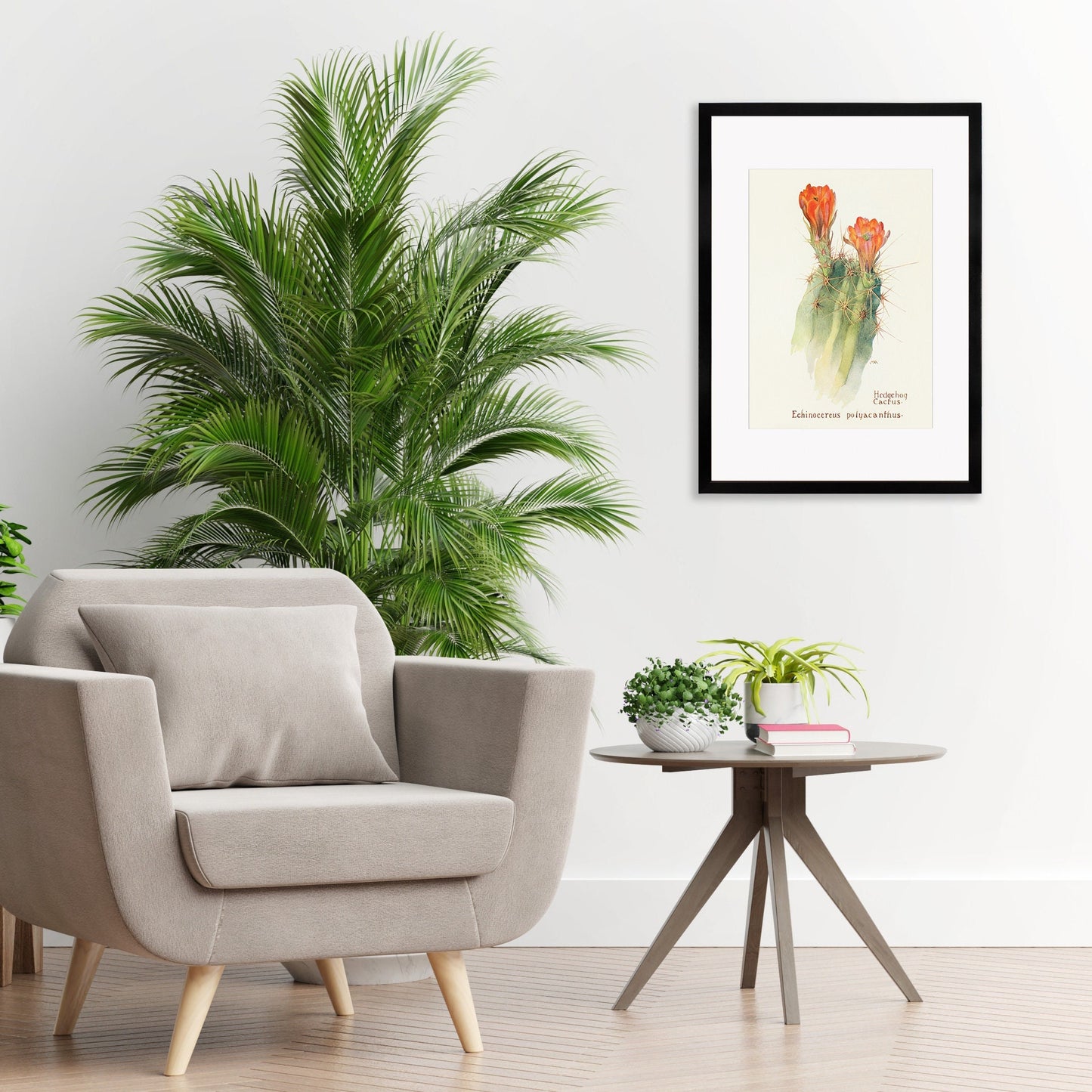 Framed Mounted Antique Botanical Art Print Poster Wall Decor Flowers Floral Cactus Cacti Succulents Nature Leaf Plant Illustration Edwardian