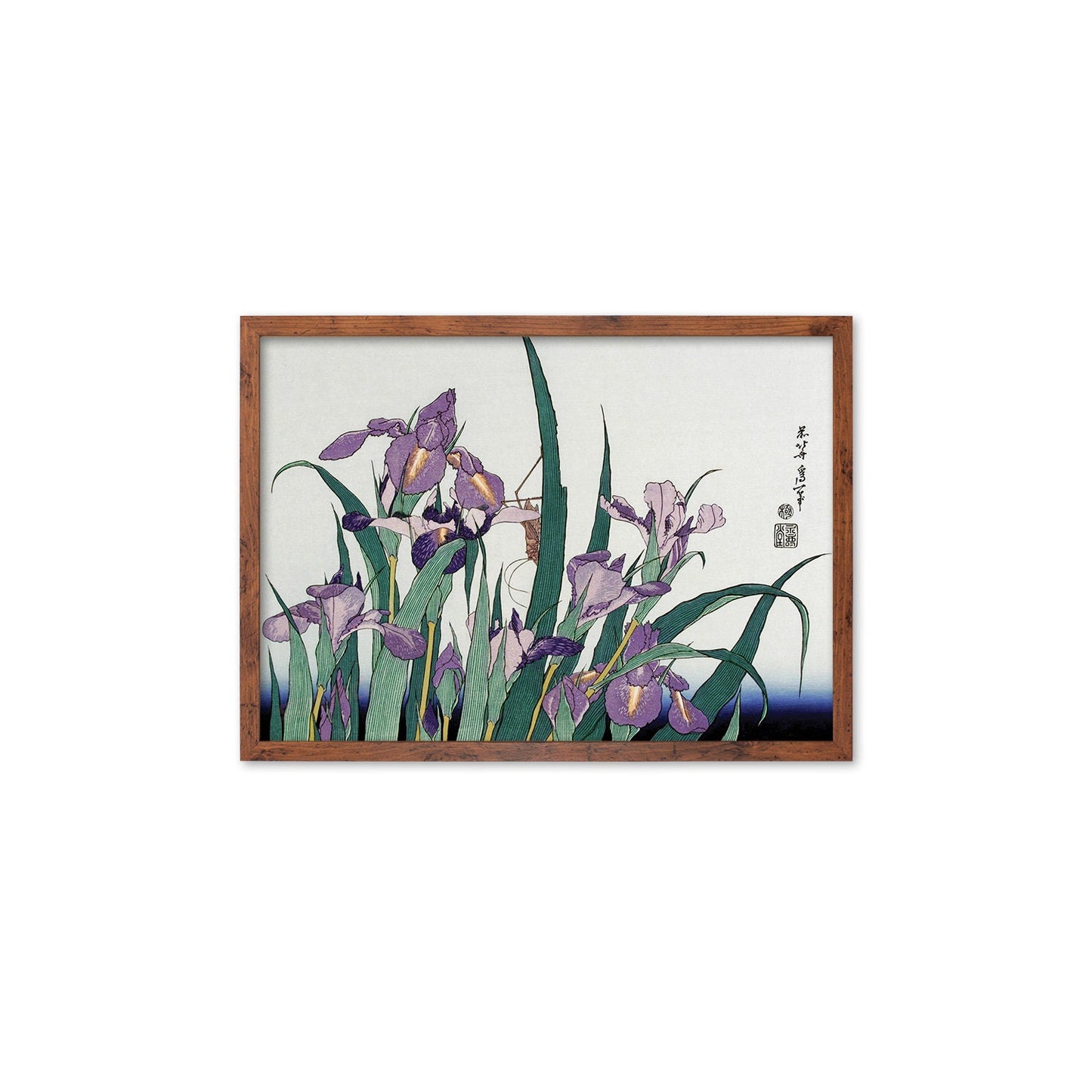 Japanese Art Hokusai Framed Mounted Ukiyo-e Wall Decor Print Poster Woodblock Irises Flowers Landscape Insects Calligraphy Beautiful A2 A3