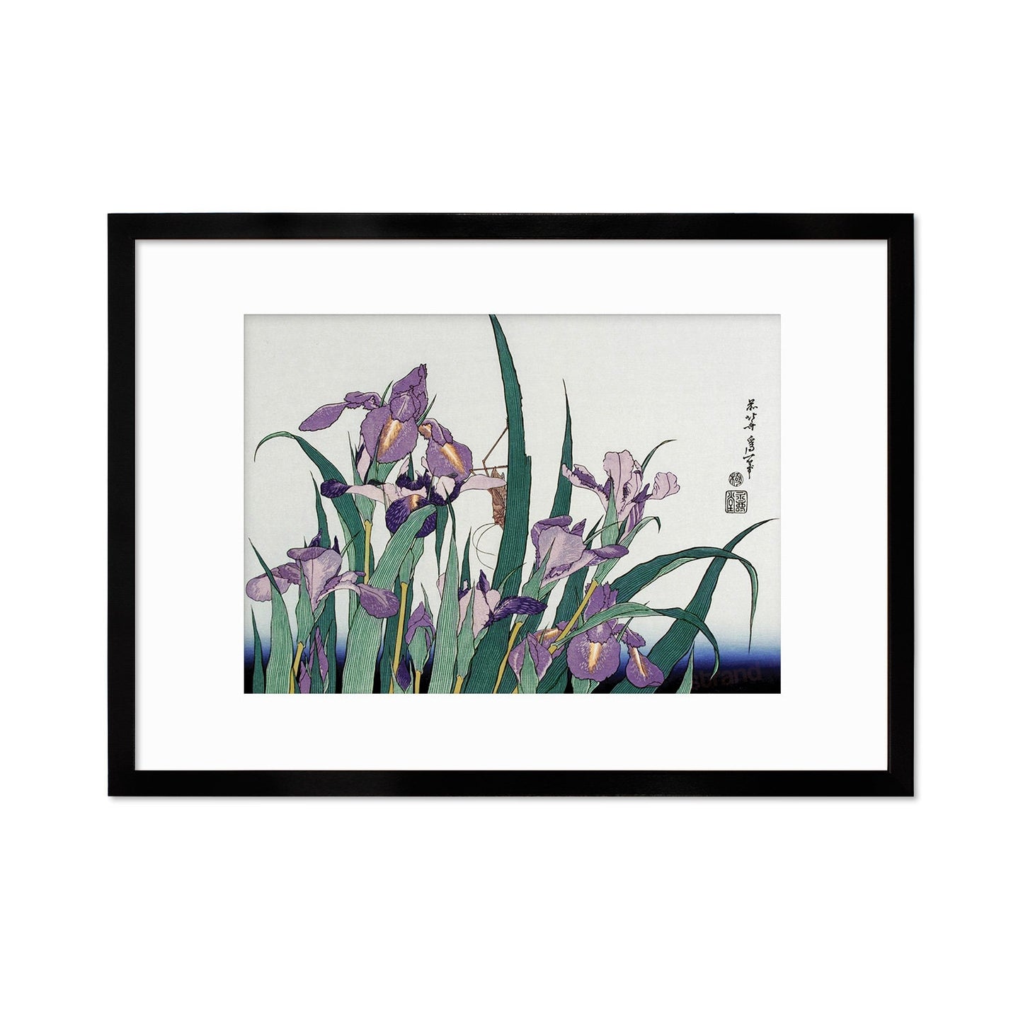 Japanese Art Hokusai Framed Mounted Ukiyo-e Wall Decor Print Poster Woodblock Irises Flowers Landscape Insects Calligraphy Beautiful A2 A3