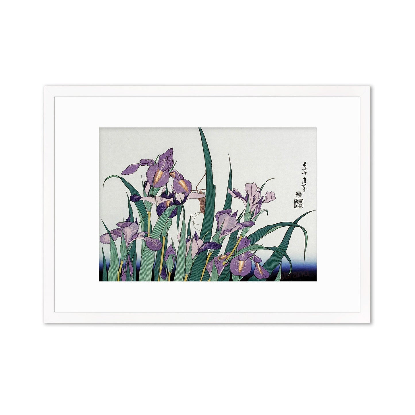 Japanese Art Hokusai Framed Mounted Ukiyo-e Wall Decor Print Poster Woodblock Irises Flowers Landscape Insects Calligraphy Beautiful A2 A3