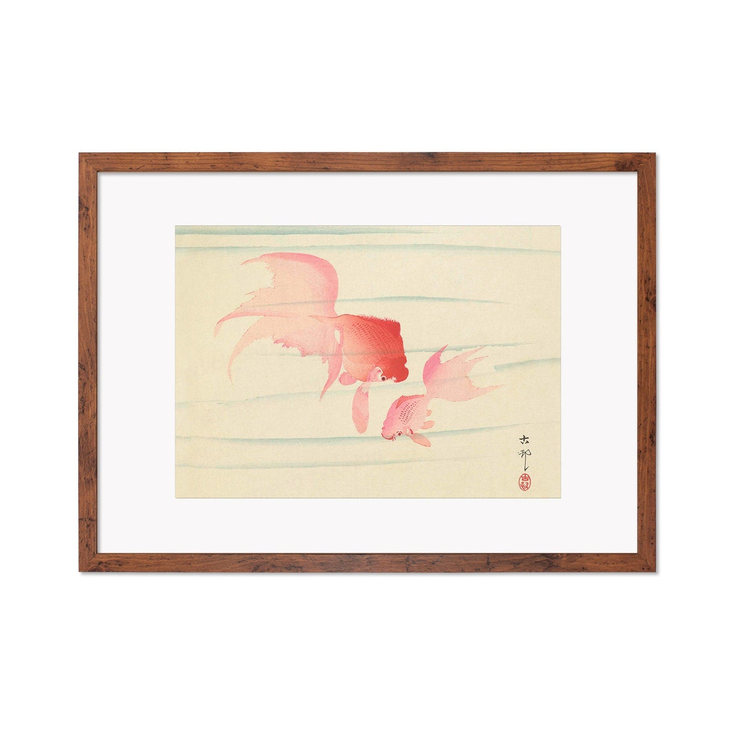 Japanese Art Goldfish Framed Mounted Ukiyo-e Wall Decor Print Poster Woodblock Koson Shoson Two Veil Tails Fish Beautiful Watercolour Nature