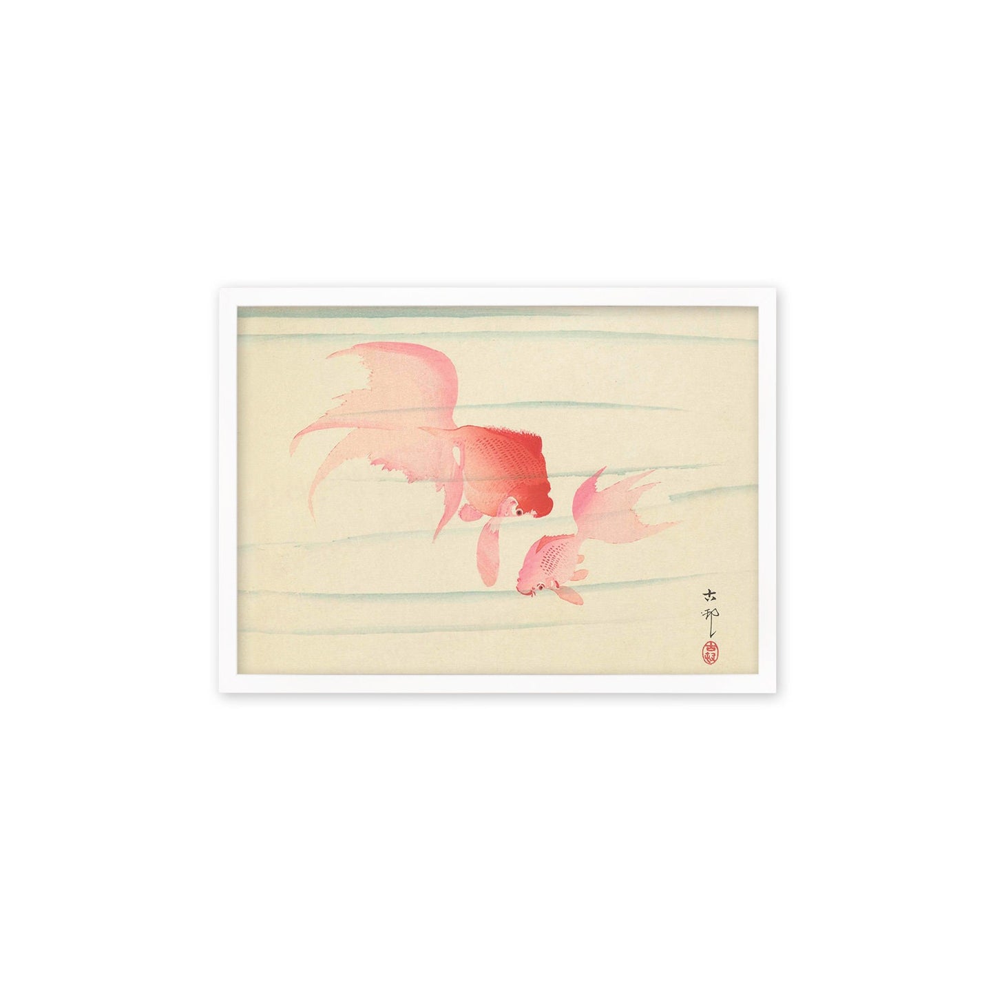 Japanese Art Goldfish Framed Mounted Ukiyo-e Wall Decor Print Poster Woodblock Koson Shoson Two Veil Tails Fish Beautiful Watercolour Nature