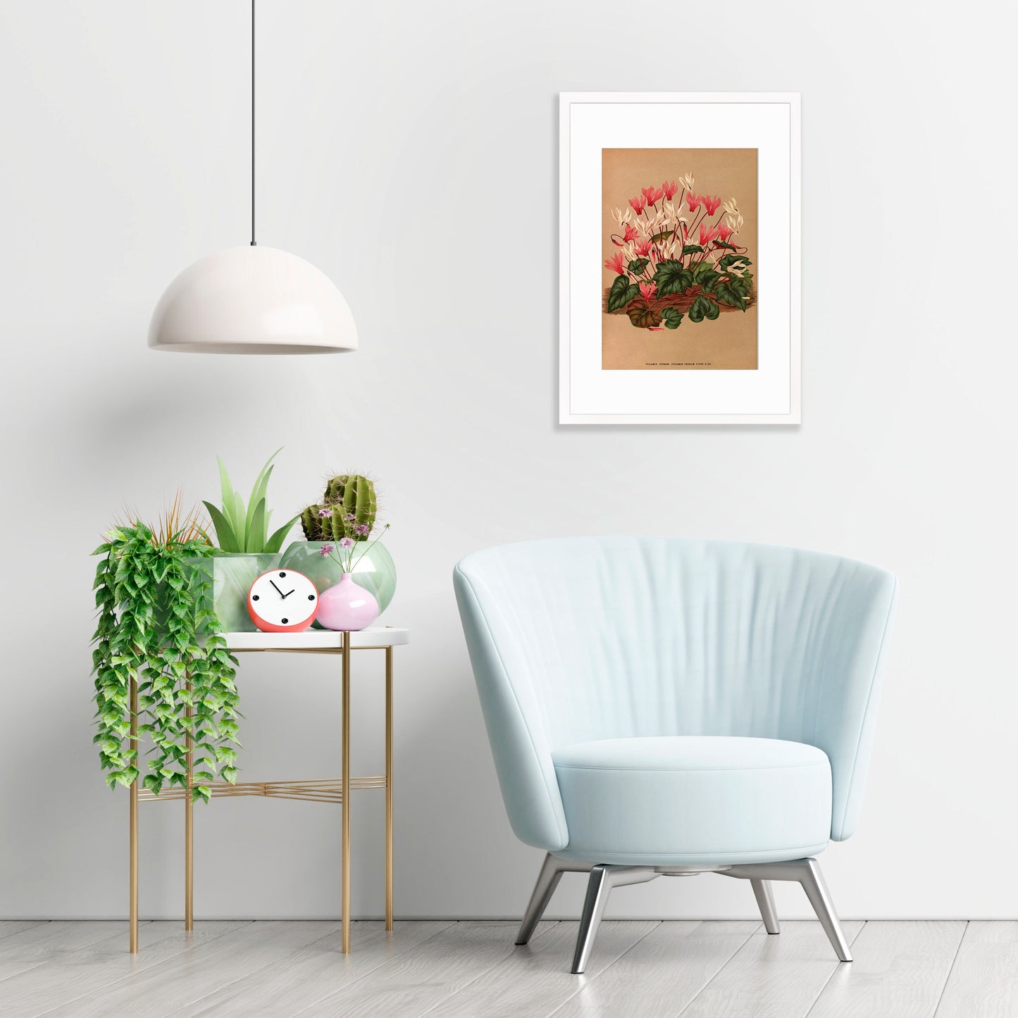 Cyclamen Framed Mounted Wall Art Decor Print Poster Botanical Antique Vintage Old Victorian Illustration Nature Plant Beautiful Flower Herbs