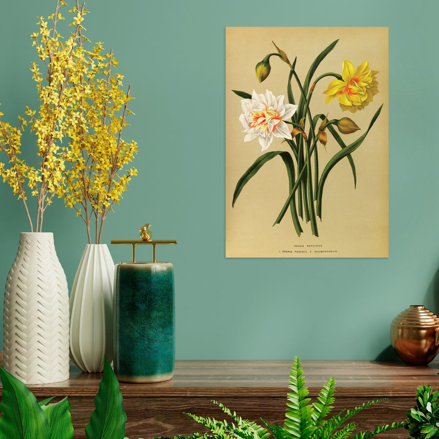 Antique Botanical Art Print Poster Vintage Wall Art Flowers Floral Narcissus Daffodil Leaf Plant Illustration Victorian Herbs Beautiful A3