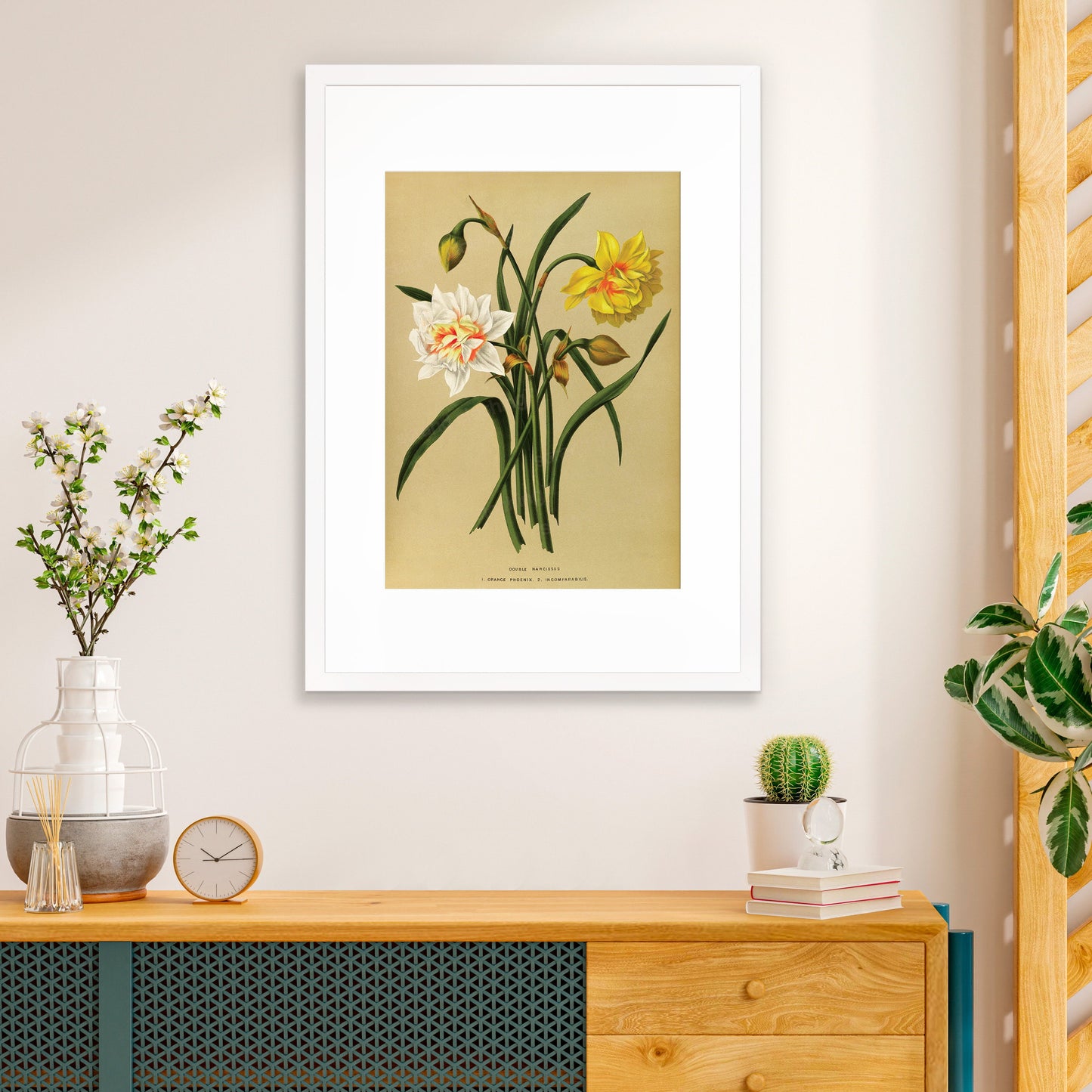 Antique Botanical Art Print Poster Vintage Wall Art Flowers Floral Narcissus Daffodil Leaf Plant Illustration Victorian Herbs Beautiful A3
