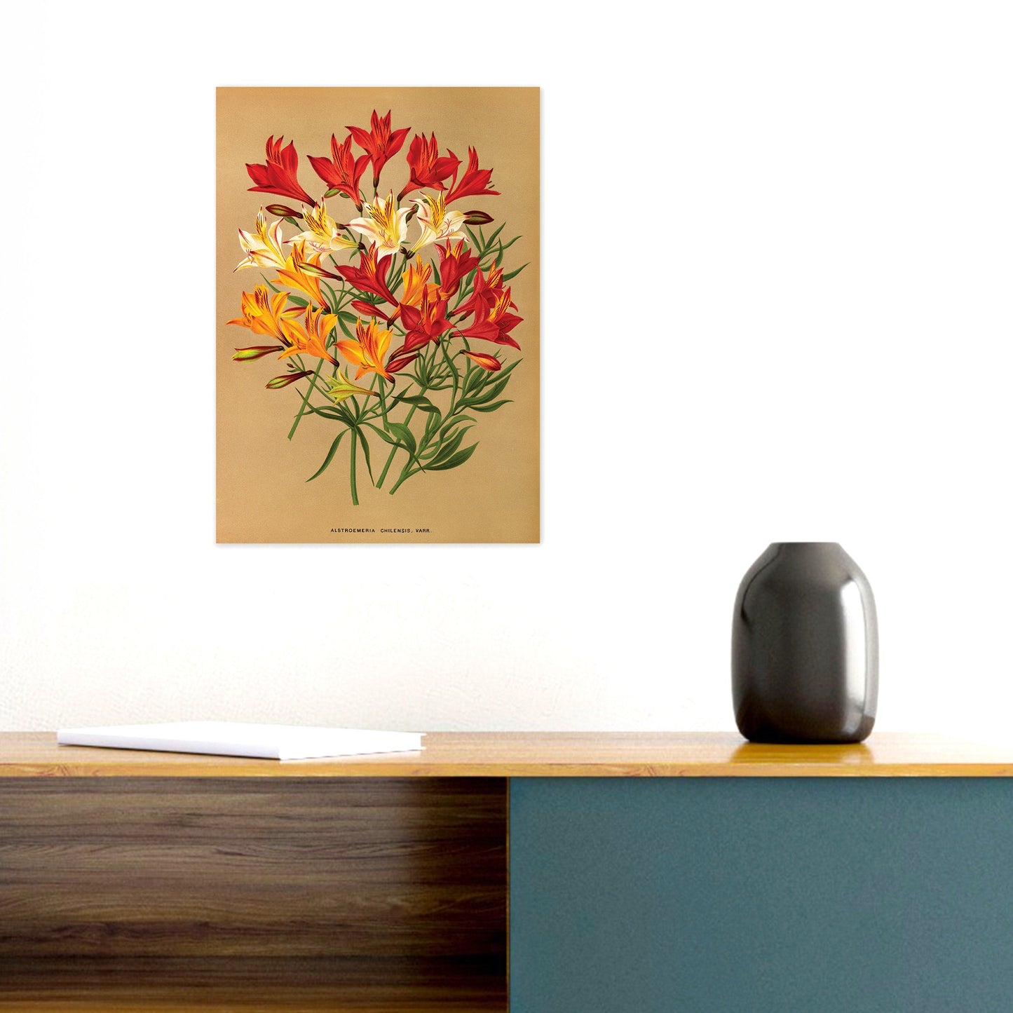 Antique Botanical Art Print Poster Vintage Wall Art Flowers Floral Alstroemeria Leaf Plant Illustration Victorian Herbs Beautiful Pressed A3