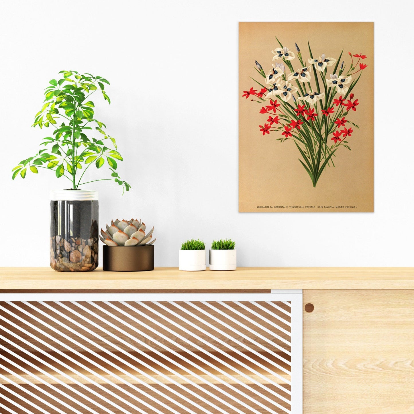 Antique Botanical Art Print Poster Vintage Wall Art Flowers Wood Floral Nature Leaf Plant Illustration Victorian Herbs Beautiful Pressed A3