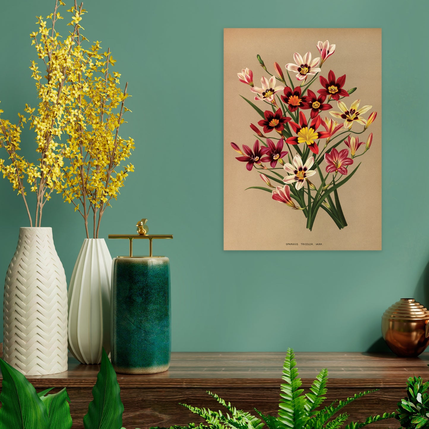 Antique Botanical Art Print Poster Vintage Wall Art Flowers Floral Sparaxis Leaf Plant Tree Nature Illustration Victorian Herbs Beautiful A3