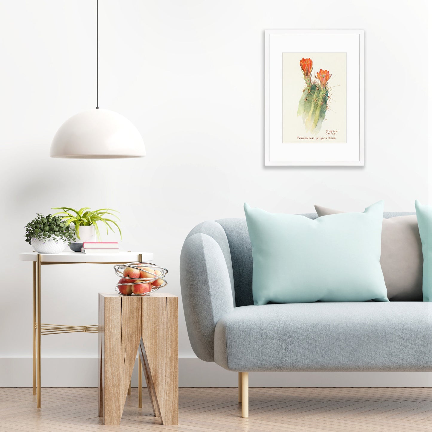 Framed Mounted Antique Botanical Art Print Poster Wall Decor Flowers Floral Cactus Cacti Succulents Nature Leaf Plant Illustration Edwardian