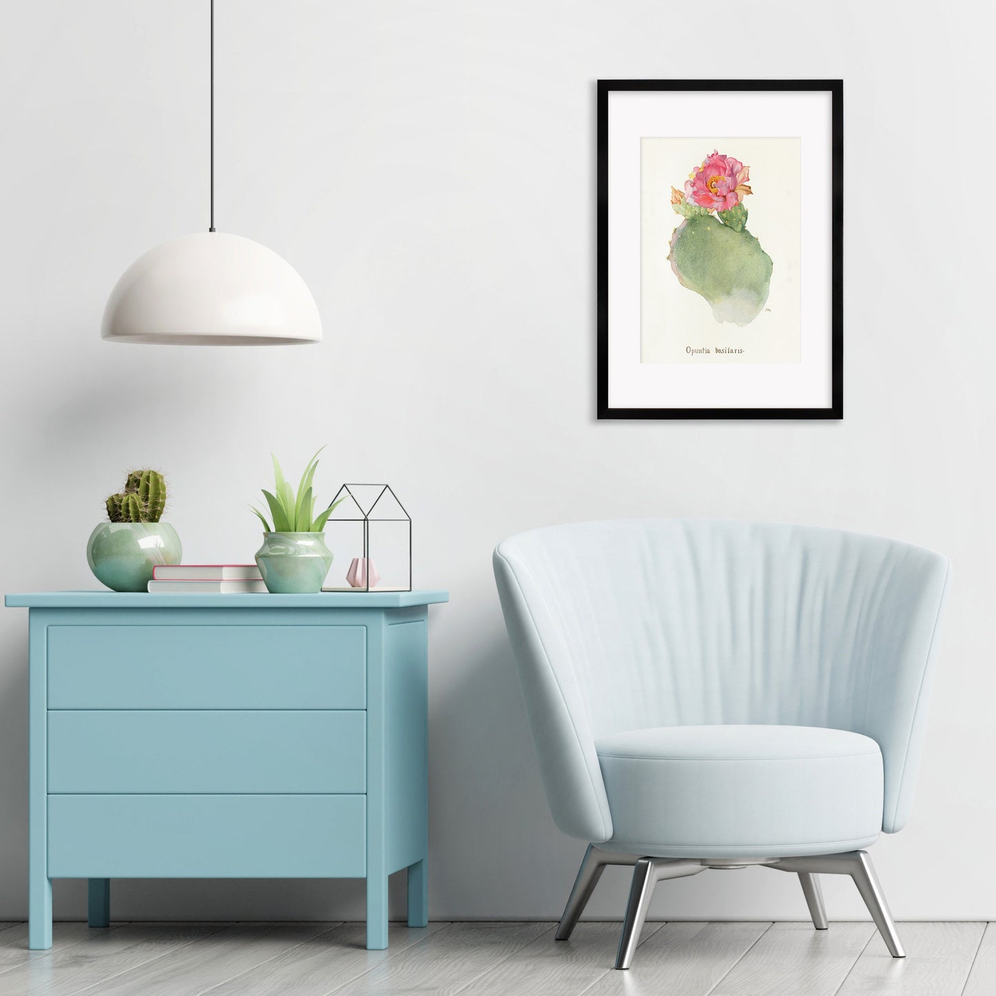Framed Mounted Antique Botanical Art Print Poster Wall Flowers Floral Cactus Cacti Succulents Nature Leaf Plant Illustration Edwardian A2