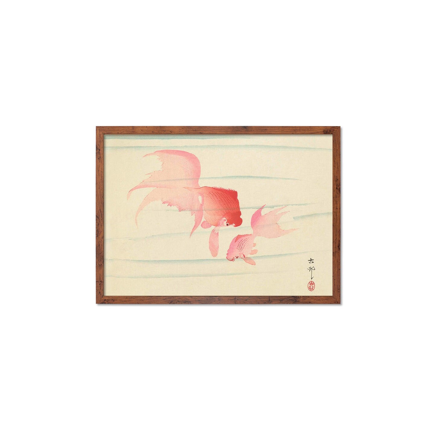 Japanese Art Goldfish Framed Mounted Ukiyo-e Wall Decor Print Poster Woodblock Koson Shoson Two Veil Tails Fish Beautiful Watercolour Nature