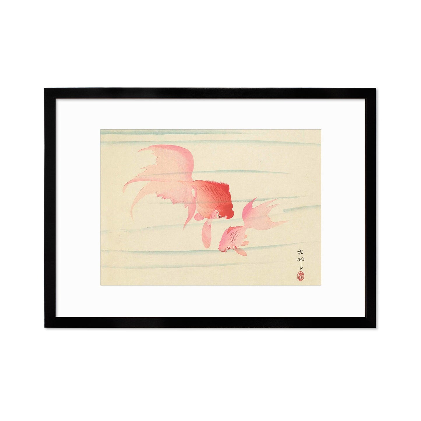 Japanese Art Goldfish Framed Mounted Ukiyo-e Wall Decor Print Poster Woodblock Koson Shoson Two Veil Tails Fish Beautiful Watercolour Nature