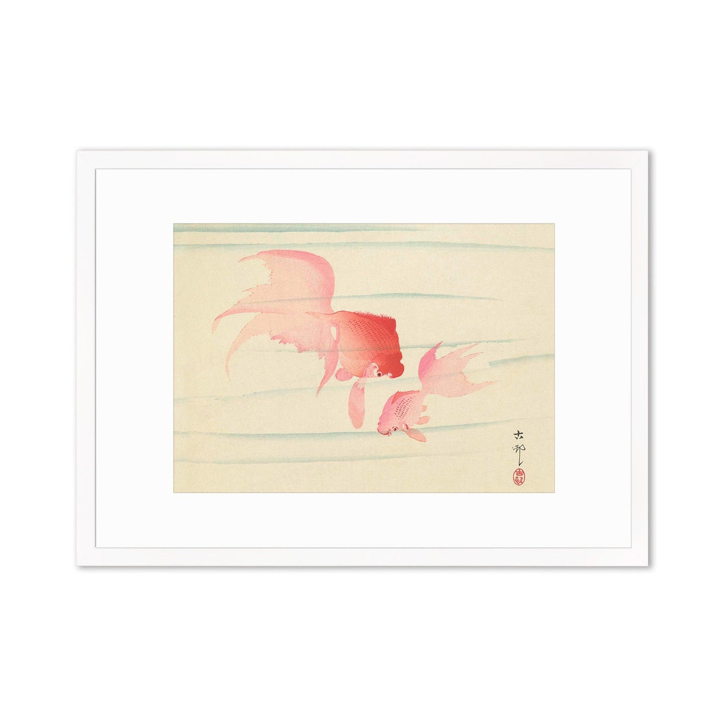 Japanese Art Goldfish Framed Mounted Ukiyo-e Wall Decor Print Poster Woodblock Koson Shoson Two Veil Tails Fish Beautiful Watercolour Nature