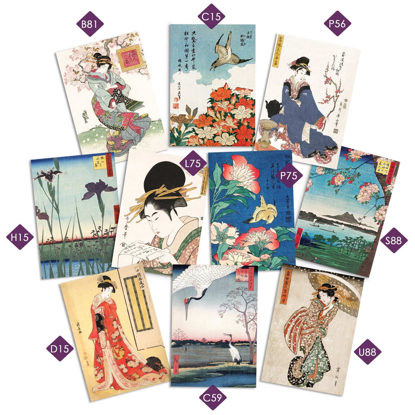 Greeting Cards Mix & Match Bundle - Card Set of 5 10 Happy Birthday Christmas Vintage Wedding Any Occasion Japanese Kawaii Cute Mix Pack