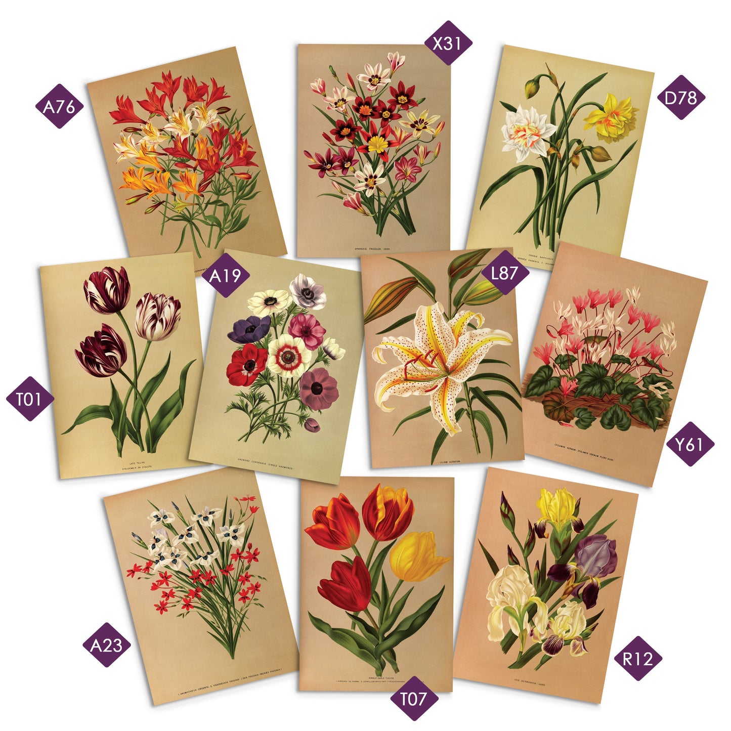 Greeting Cards Mix & Match Bundle - Card Set of 5 10 Happy Birthday Christmas Vintage Wedding Any Occasion Japanese Kawaii Cute Mix Pack