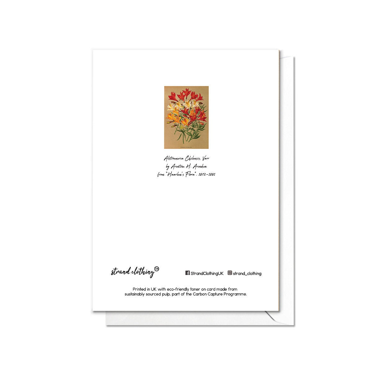 Lilies Antique Botanical Greeting Card Birthday Floral Art with Envelope Alstroemeria Chilensis Flowers Vintage Victorian Beautiful - A76