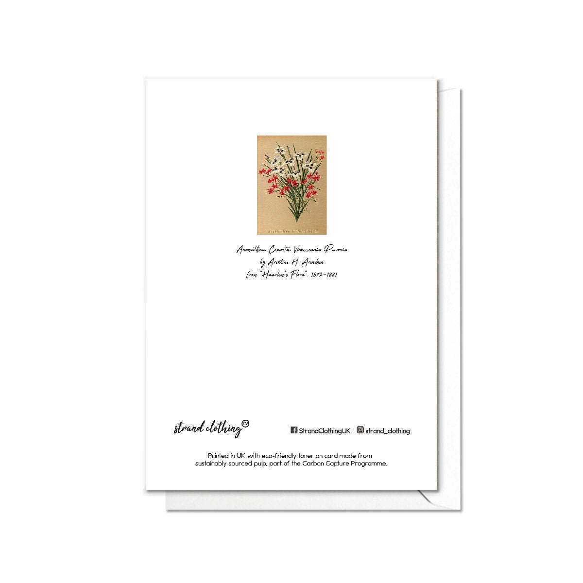 Tiger Iris & Freesia Antique Botanical Greeting Card Birthday Floral Art with Envelope Valentines Flowers Vintage Victorian Beautiful - A23